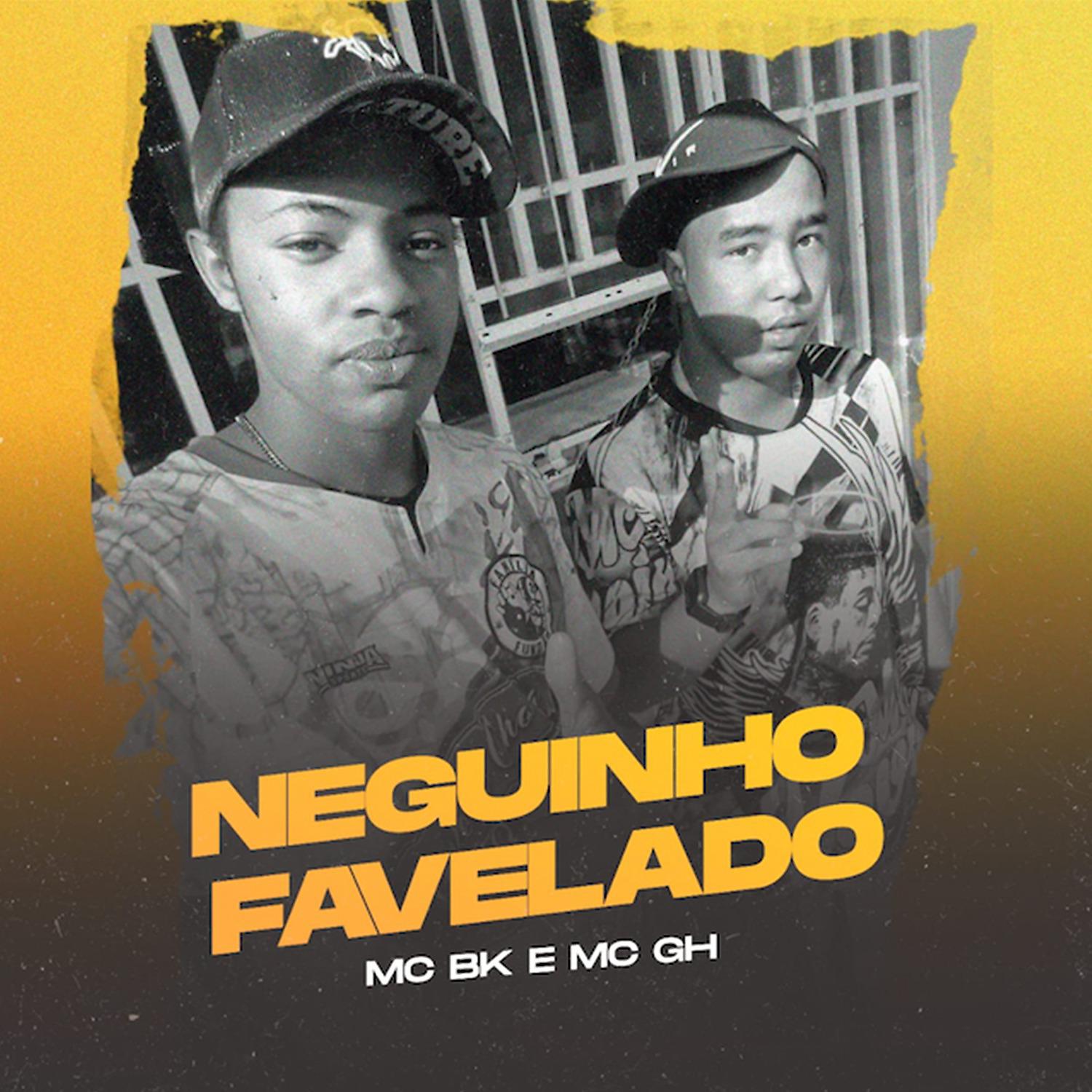 Постер альбома Neguinho Favelado
