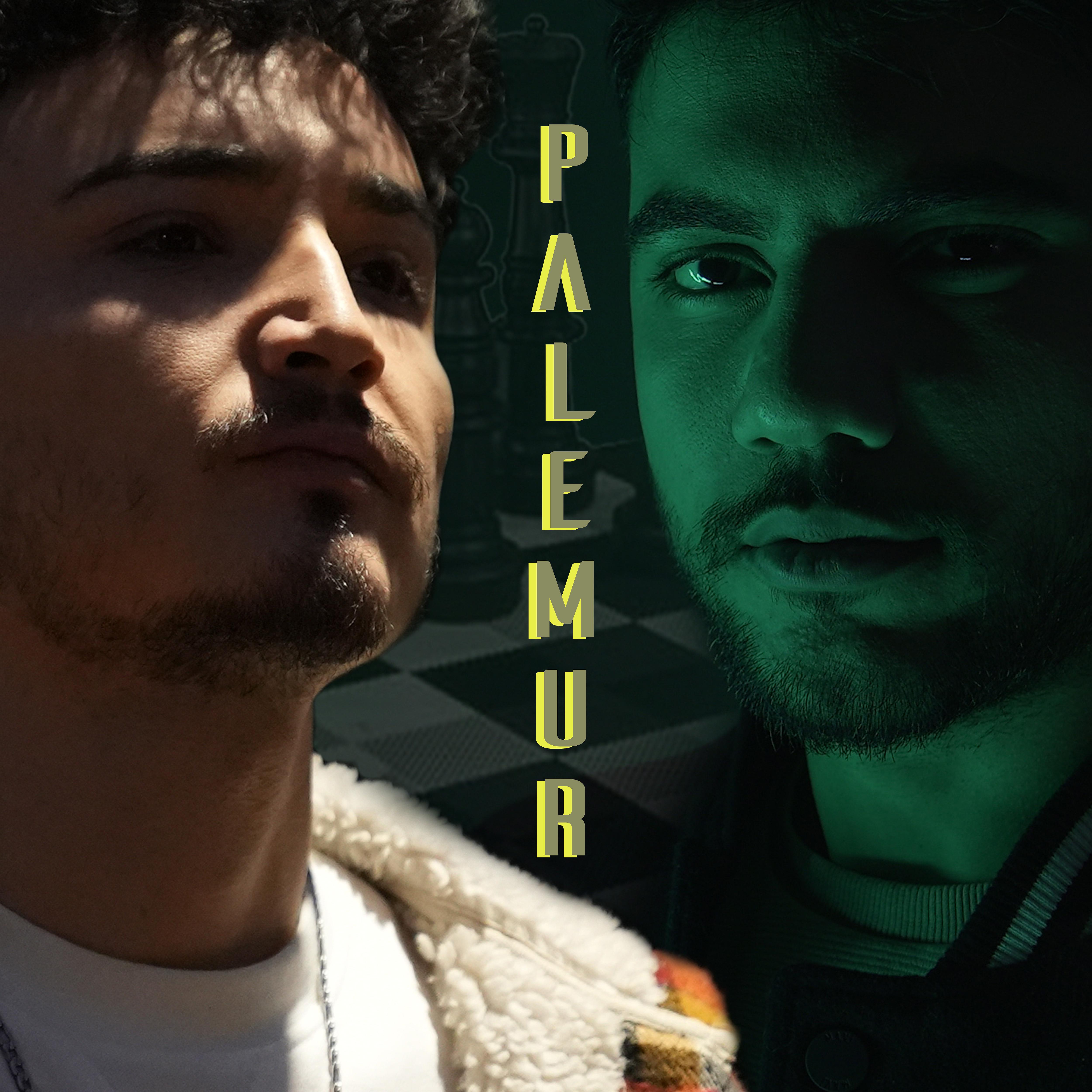 Постер альбома Palemur