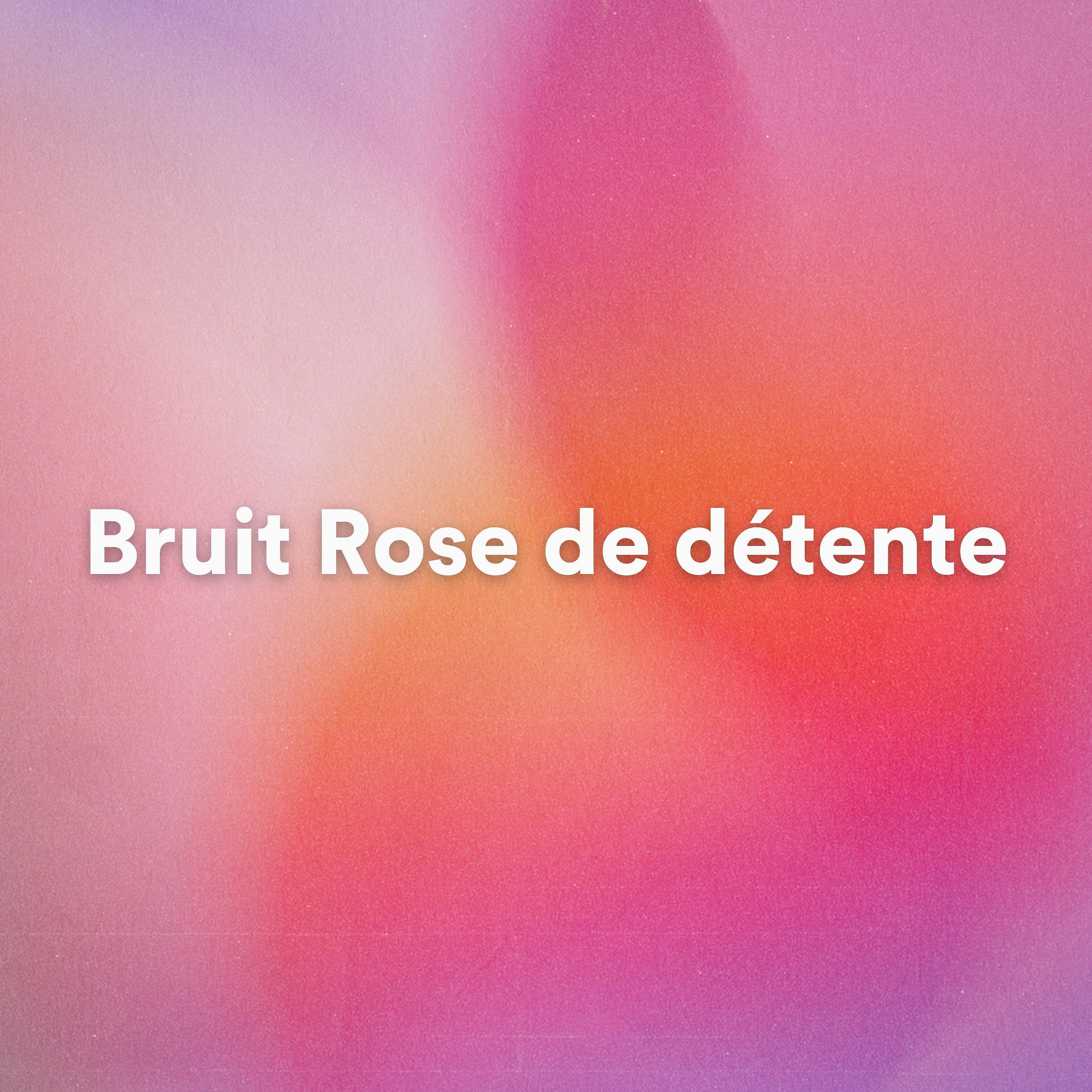 Постер альбома Bruit Rose de détente