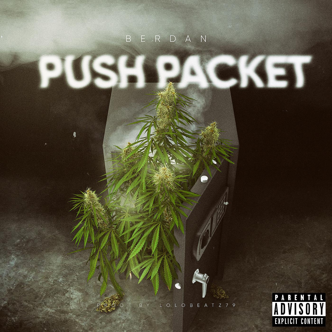 Постер альбома Push Packet