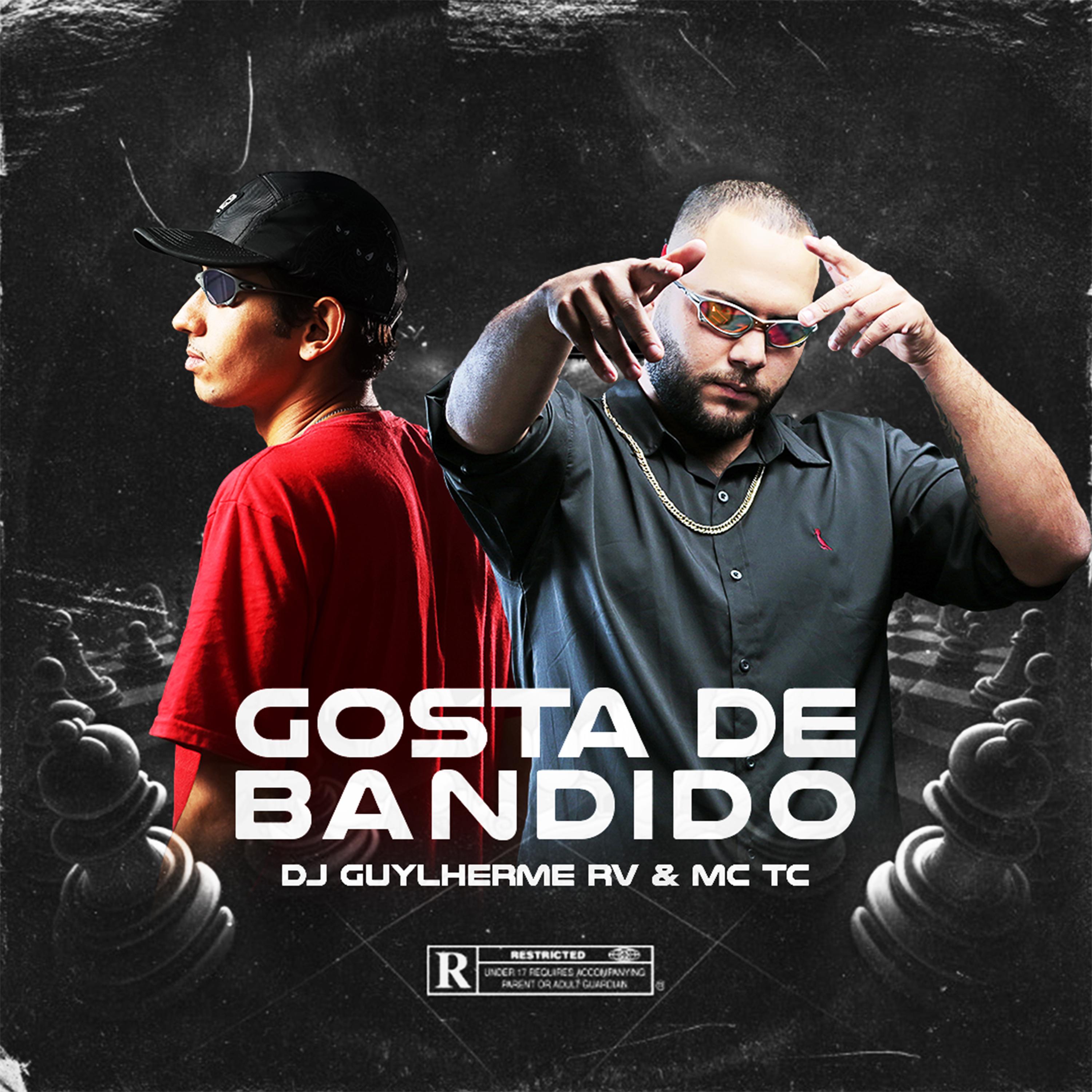 Постер альбома Gosta de Bandido