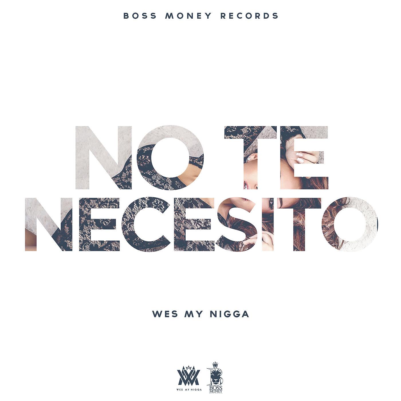 Постер альбома No Te Necesito (Instrumental)