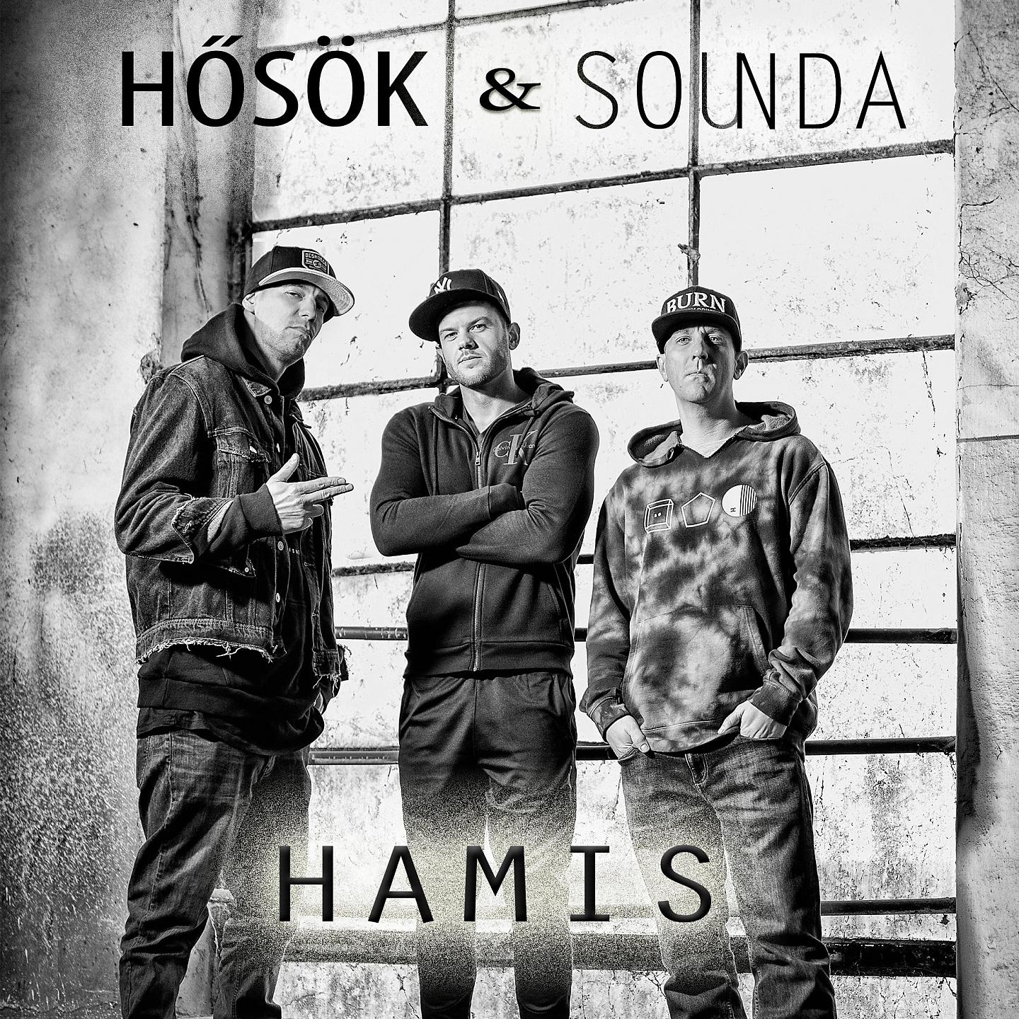 Постер альбома Hamis