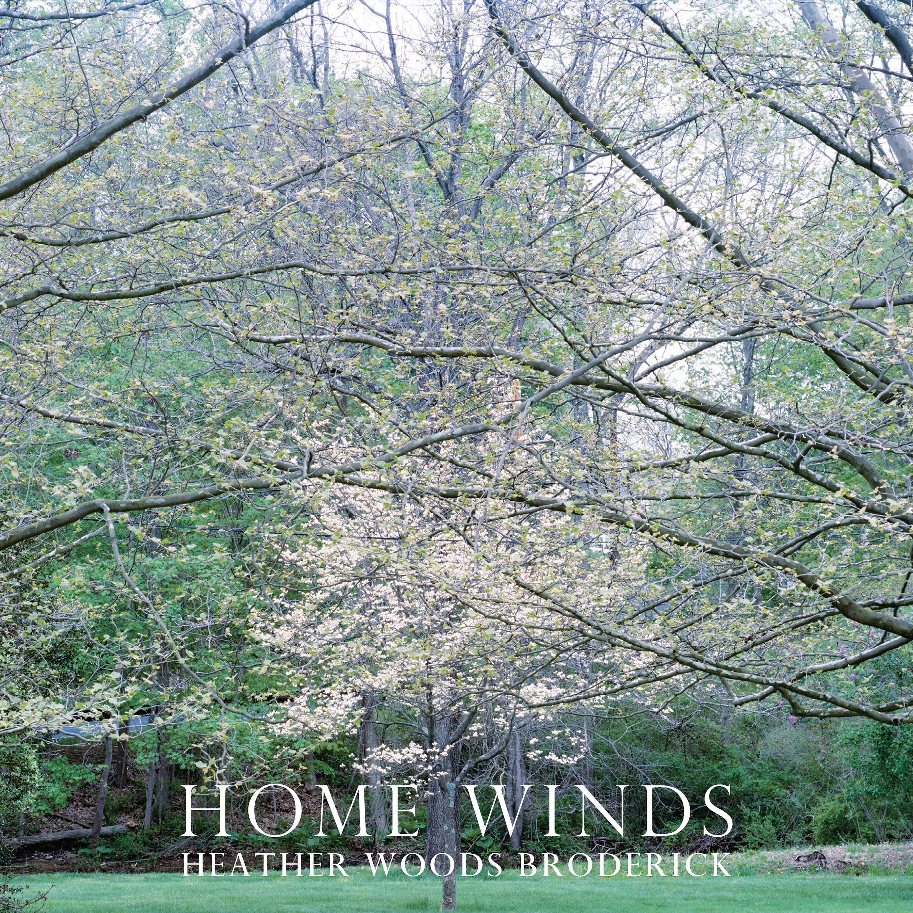 Постер альбома Home Winds