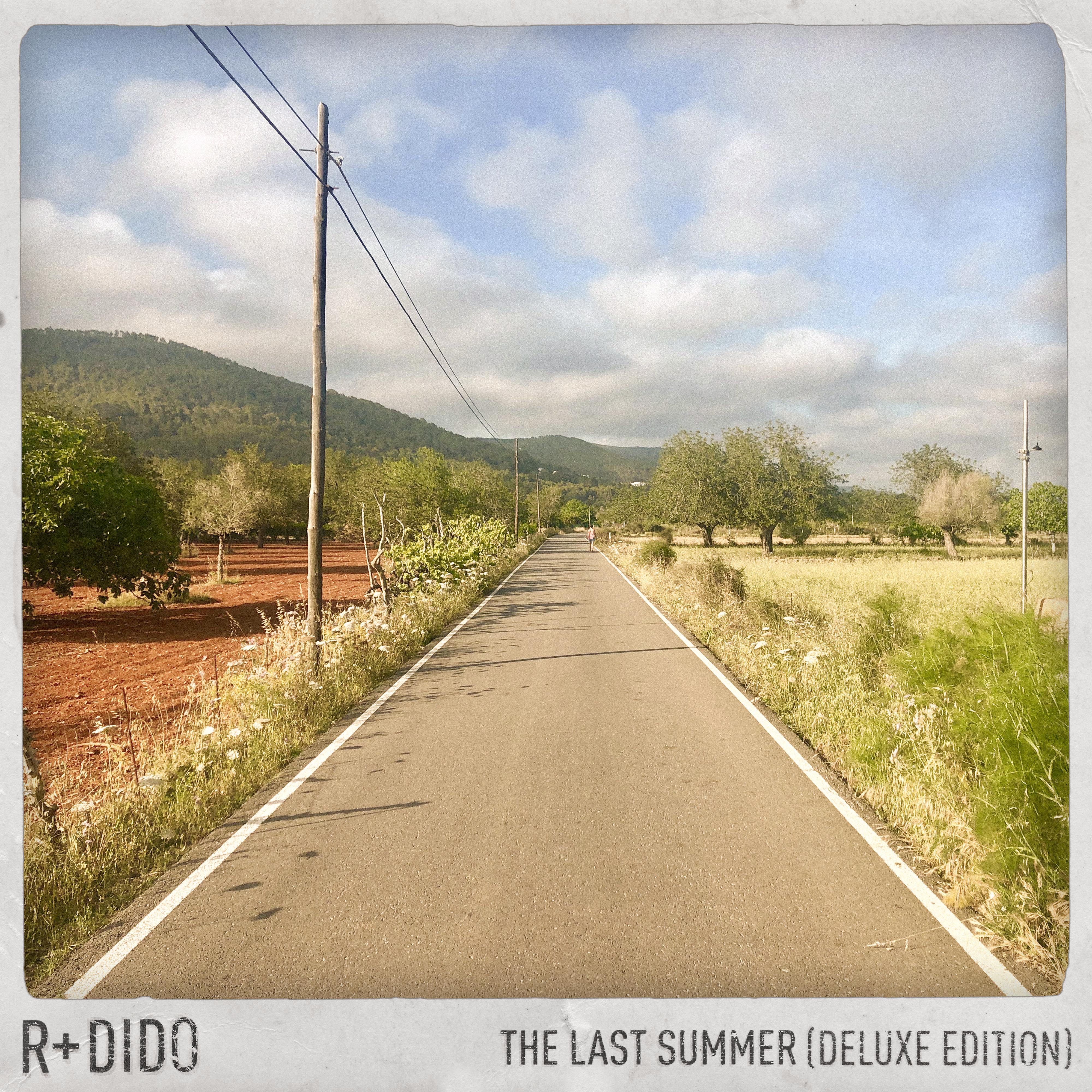 Постер альбома The Last Summer (Deluxe Edition)