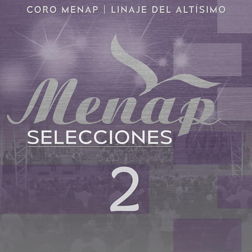 Постер альбома Menap Selecciones 2