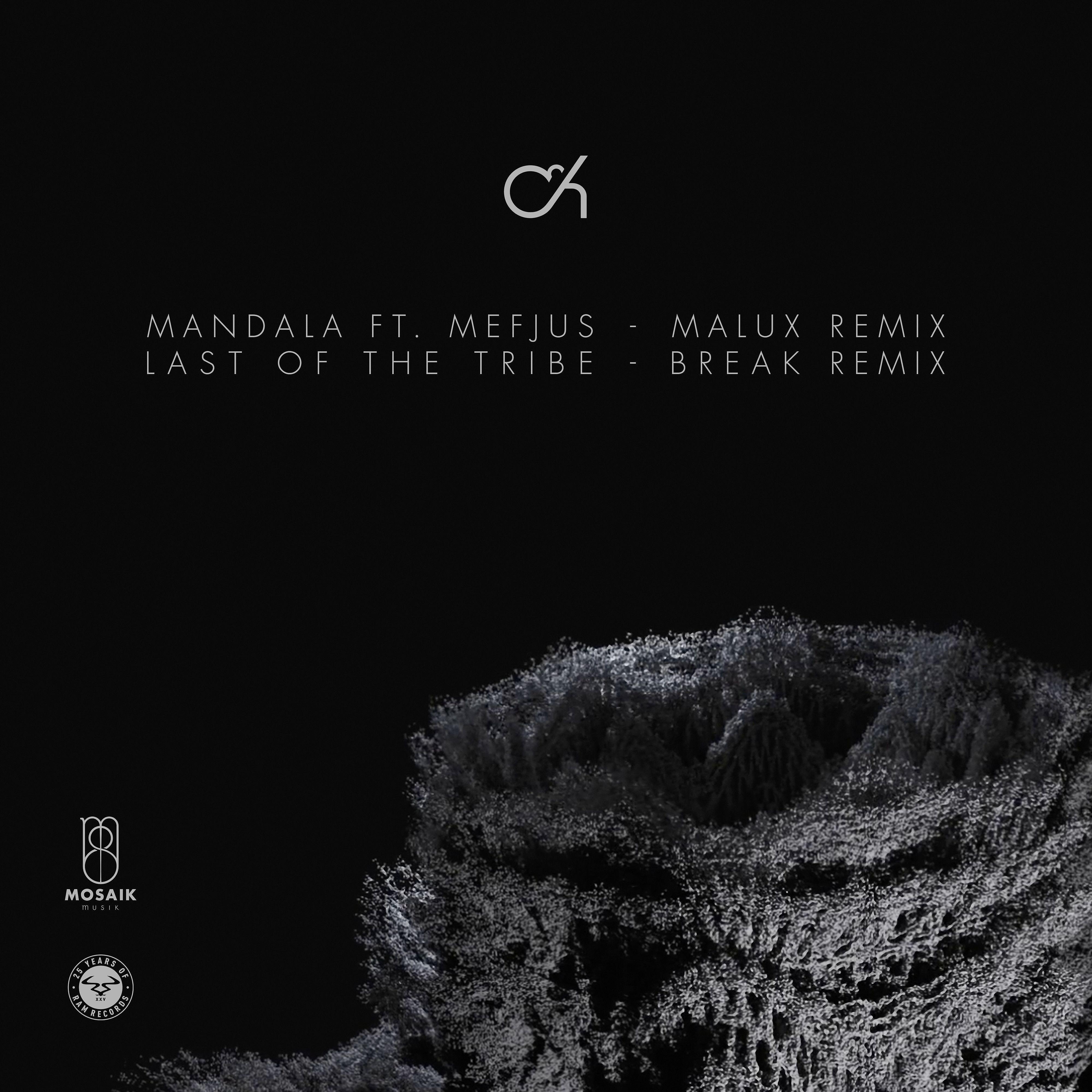 Постер альбома Mandala (Malux Remix) / Last of the Tribe (Break Remix)