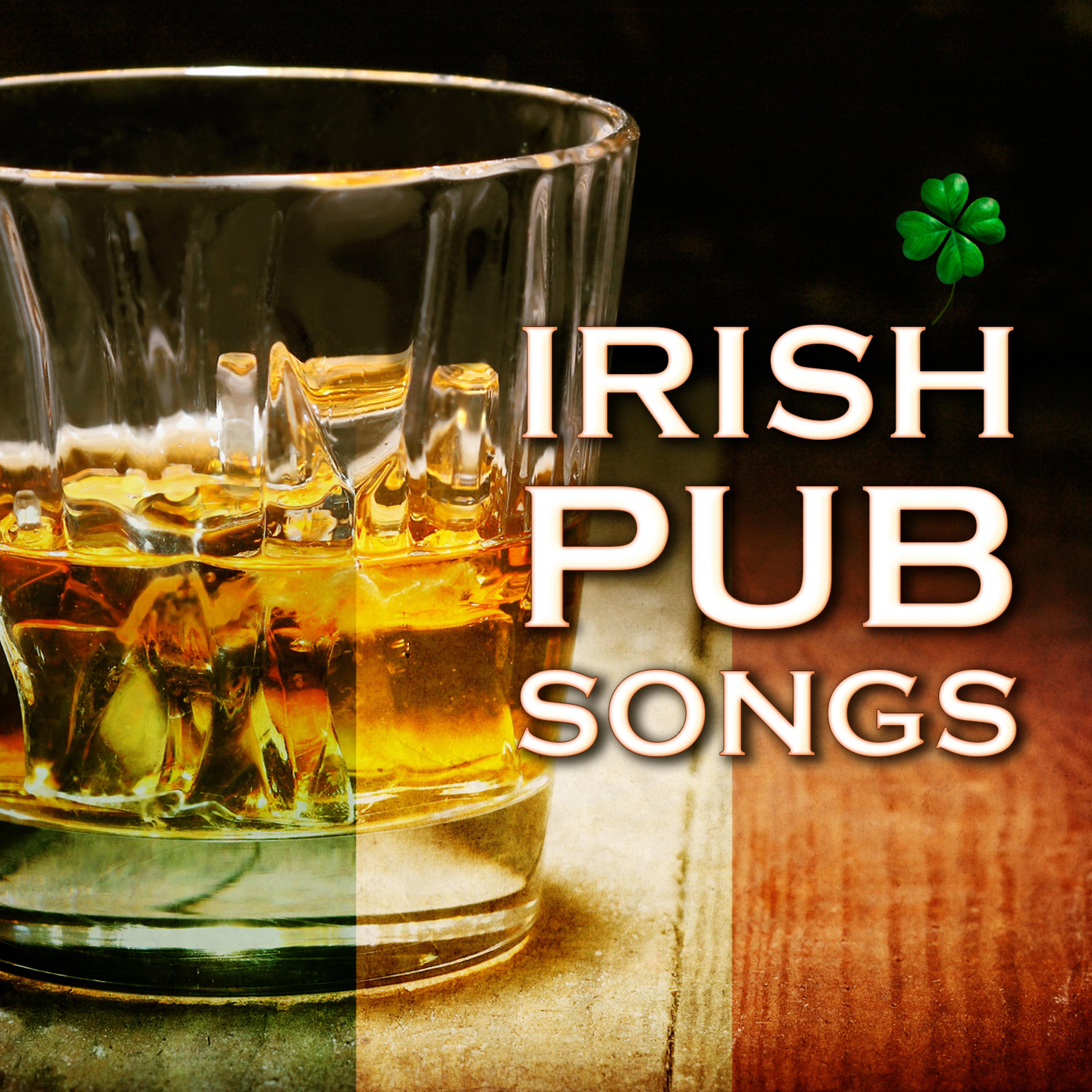 Постер альбома Irish Pub Songs