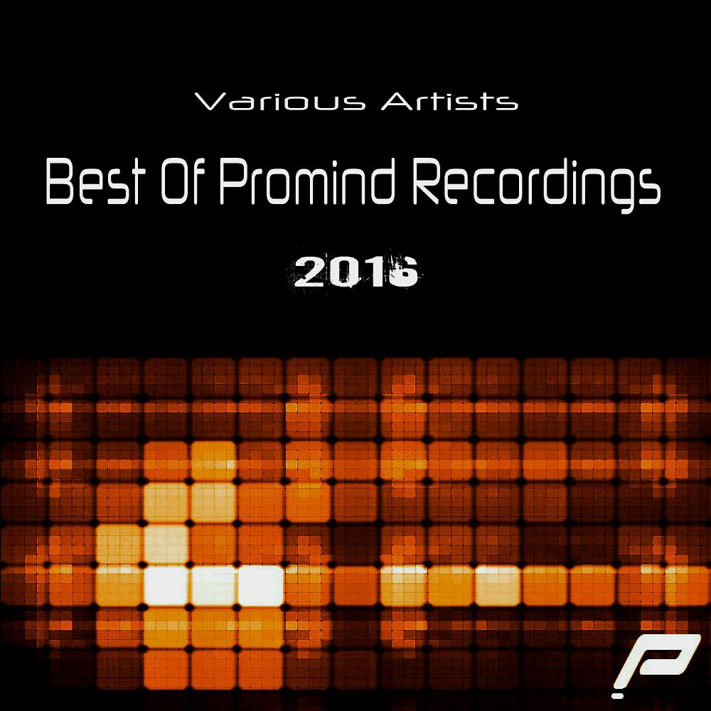 Постер альбома Best Of Promind Recordings 2016
