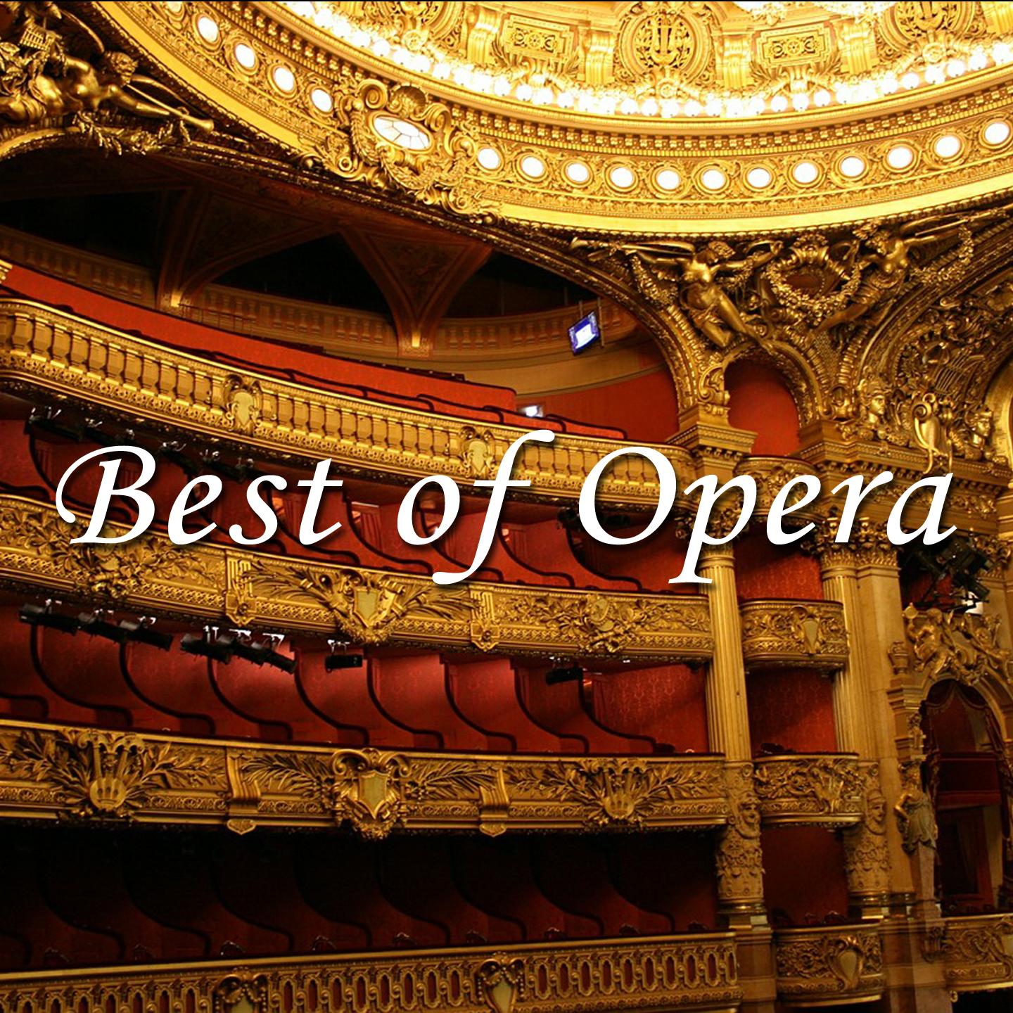 Постер альбома Best of Opera