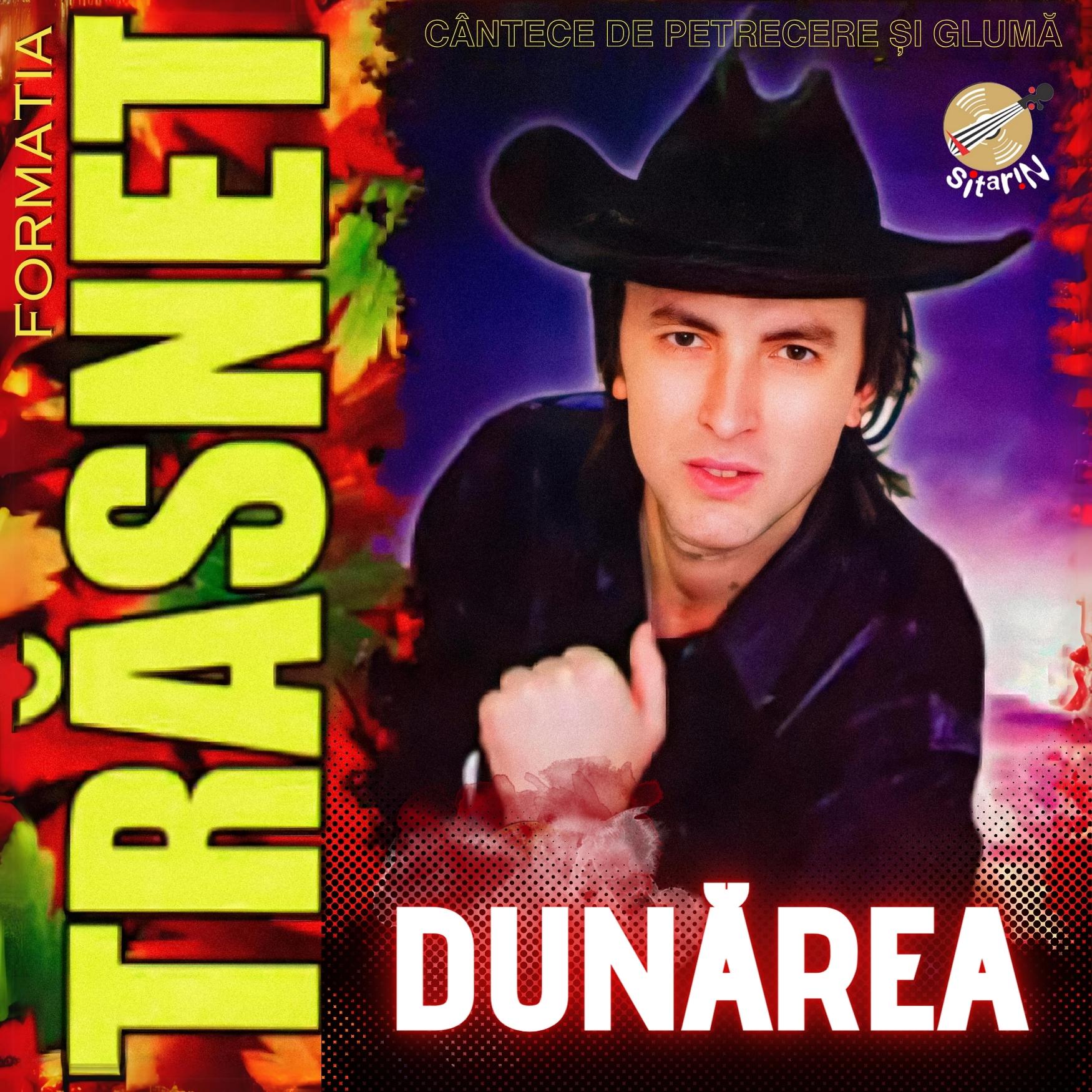 Постер альбома Dunărea