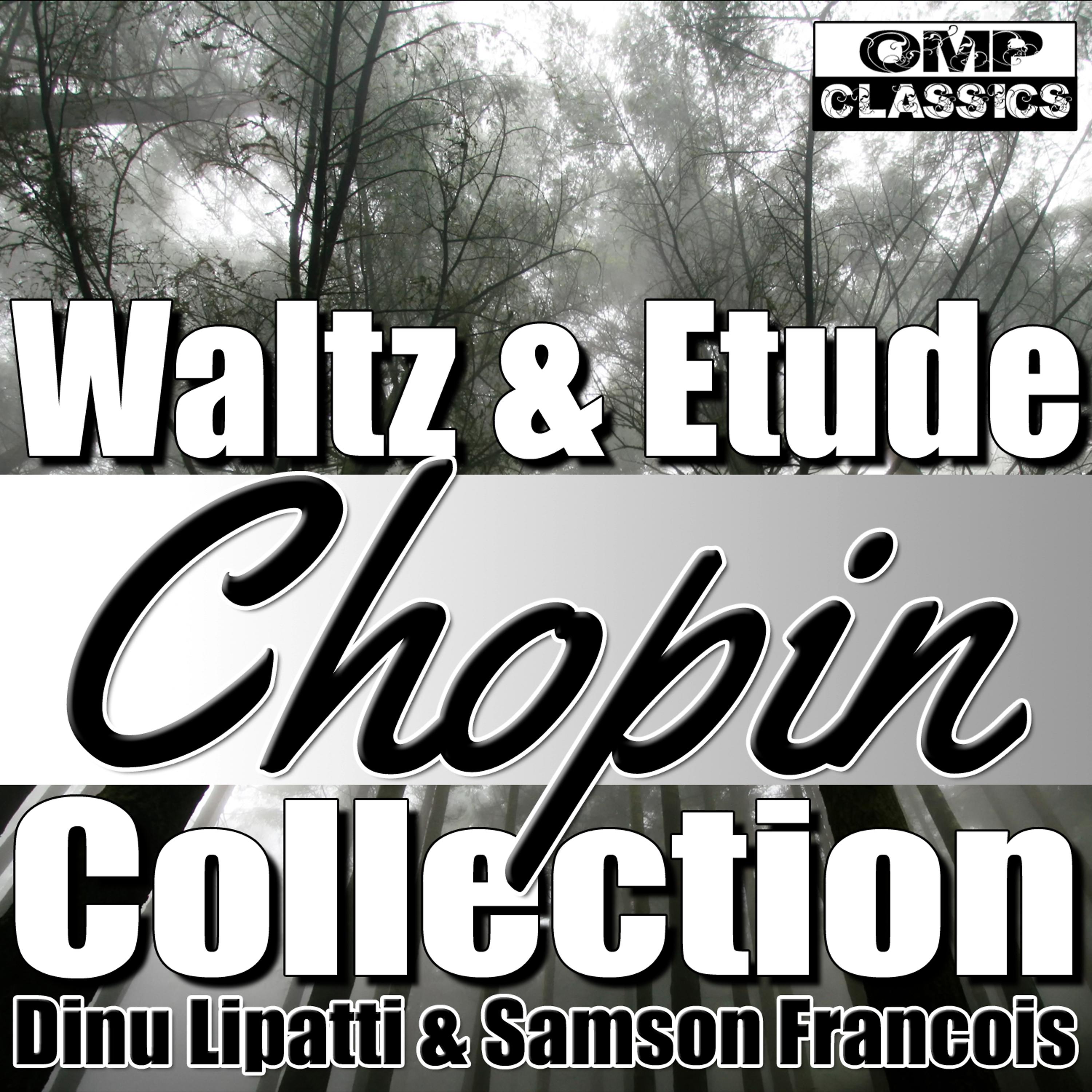 Постер альбома Chopin: Waltz & Etude Collection