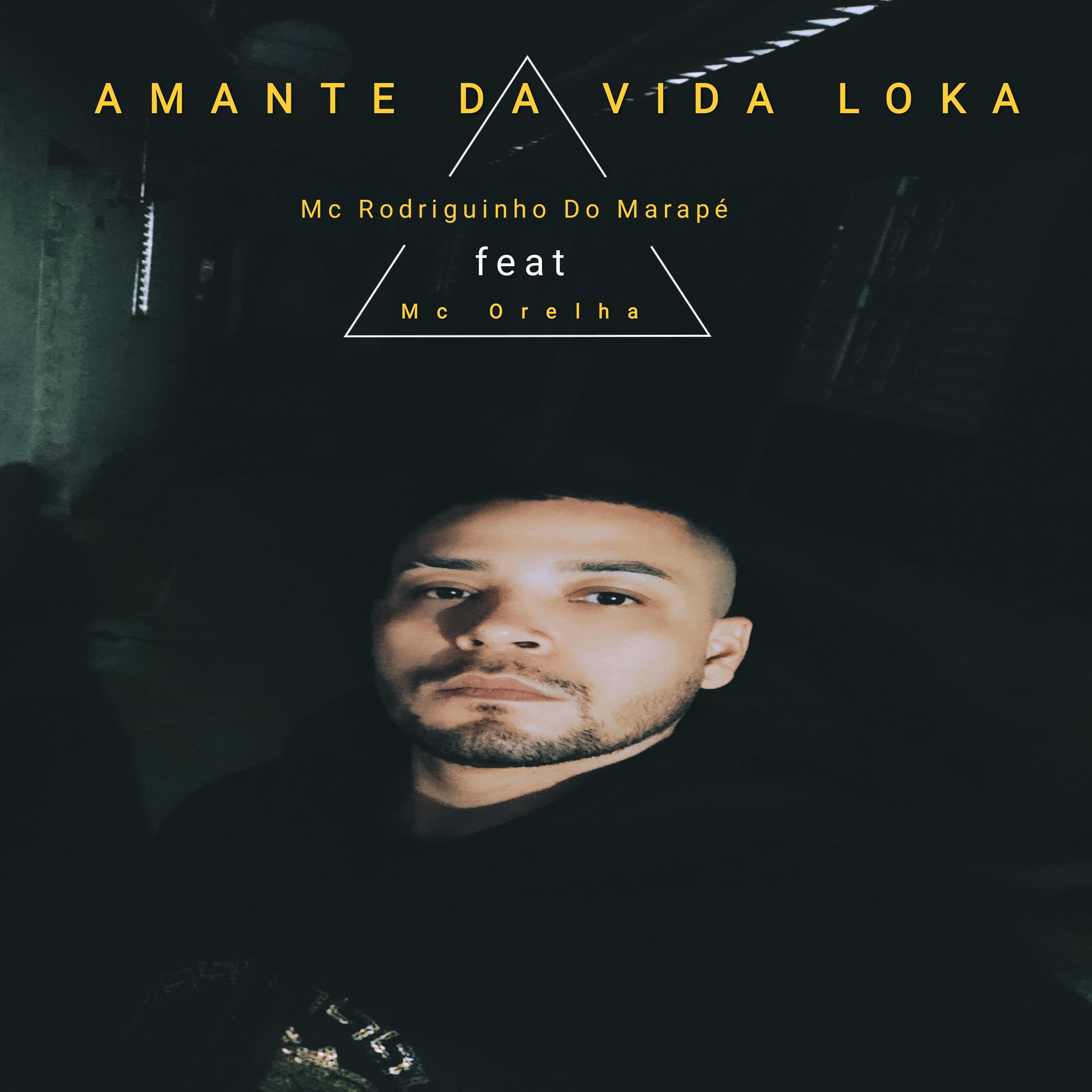 Постер альбома Amante da Vida Loka