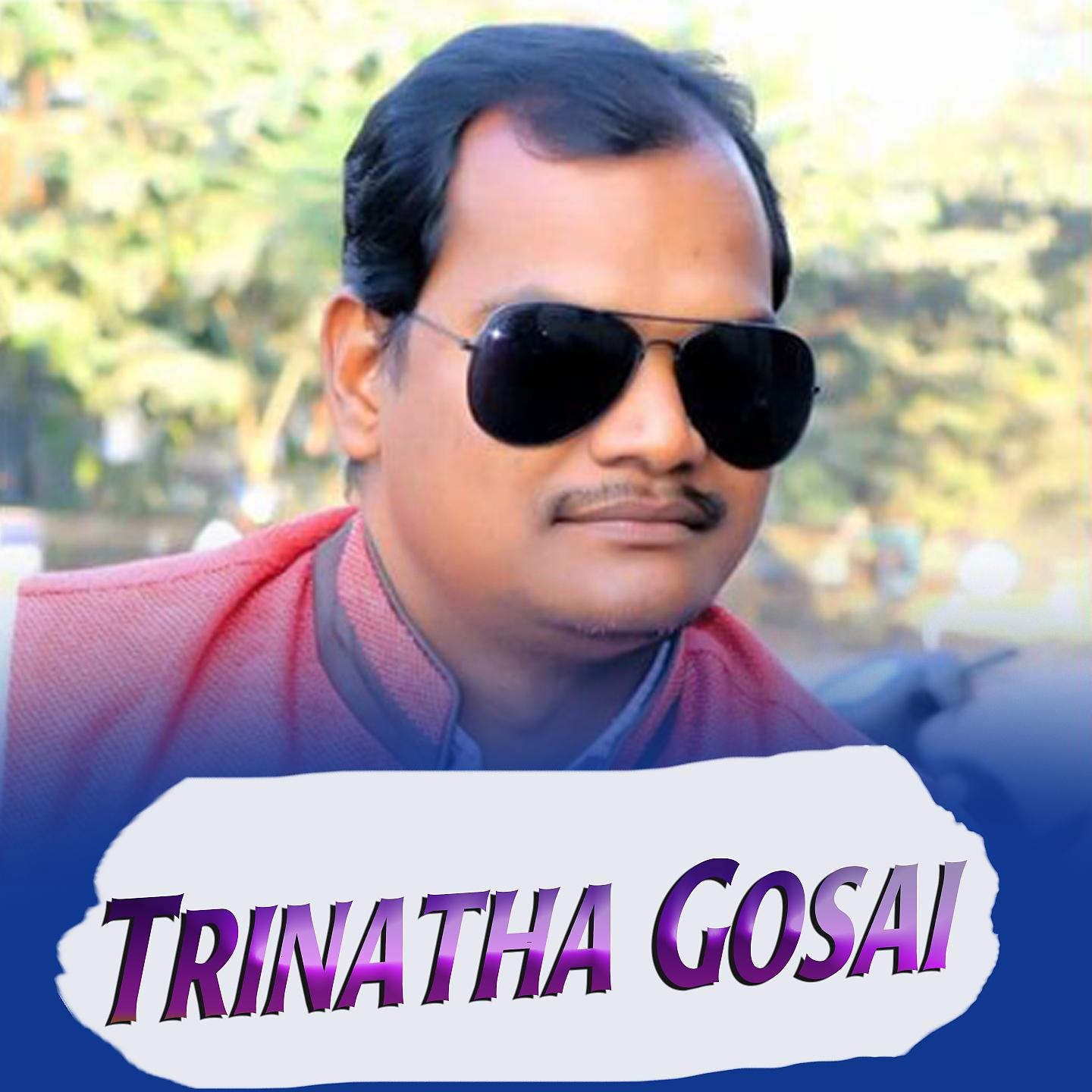 Постер альбома Trinatha Gosai