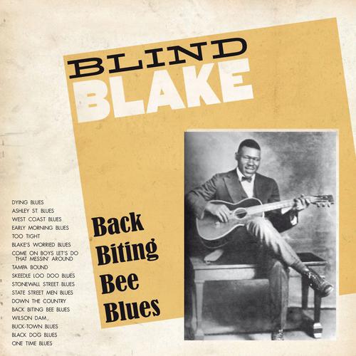 Постер альбома Blind Blake : Back Biting Bee Blues