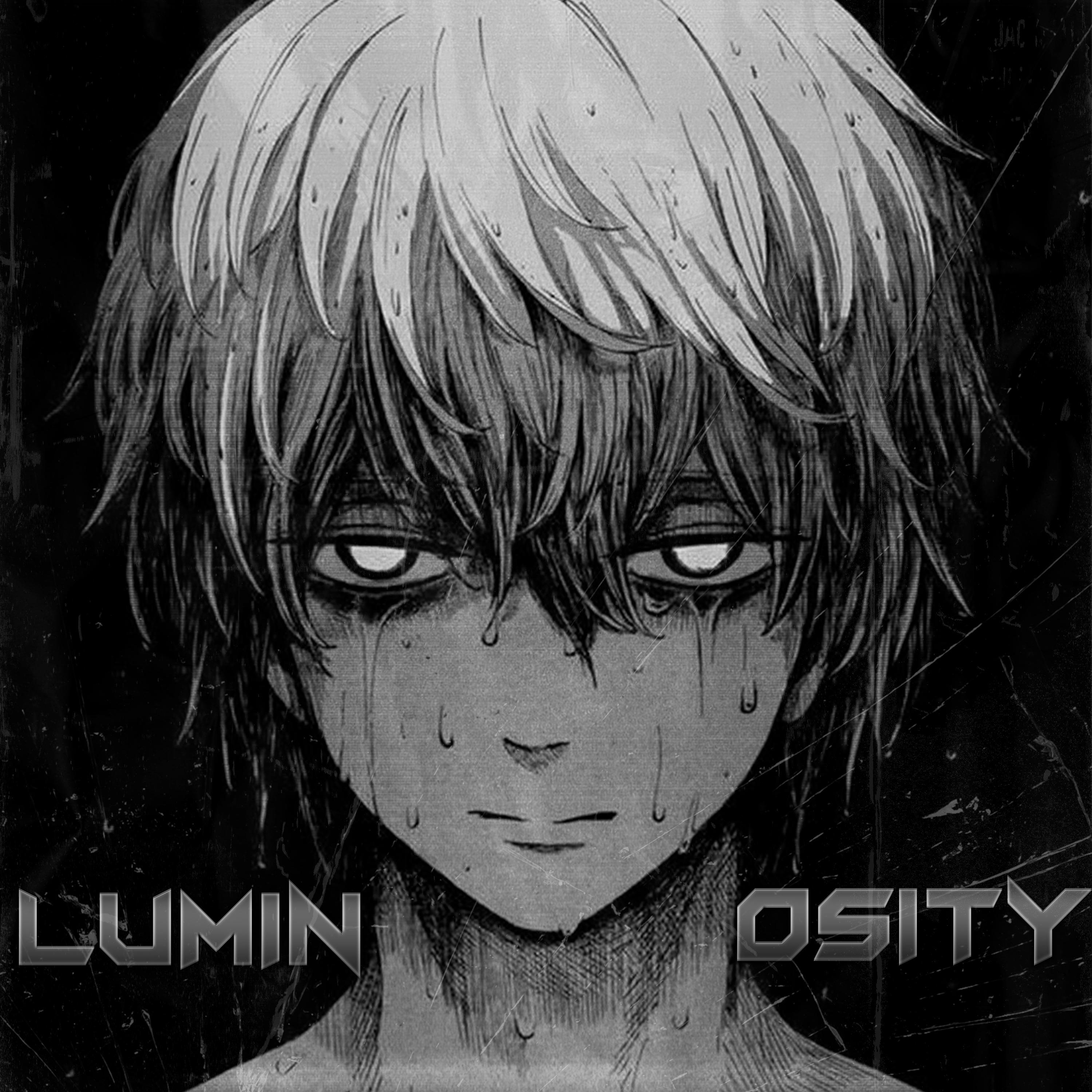 Постер альбома LUMINOSITY