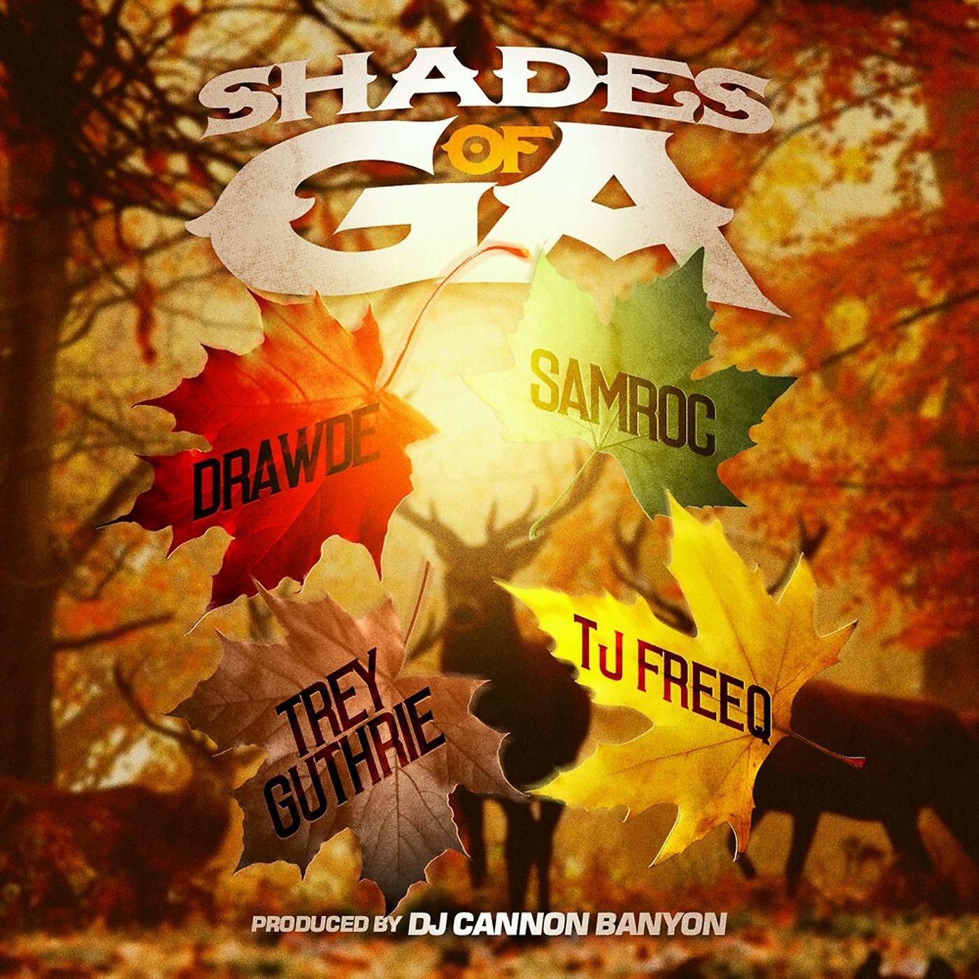 Постер альбома Shades of Georgia