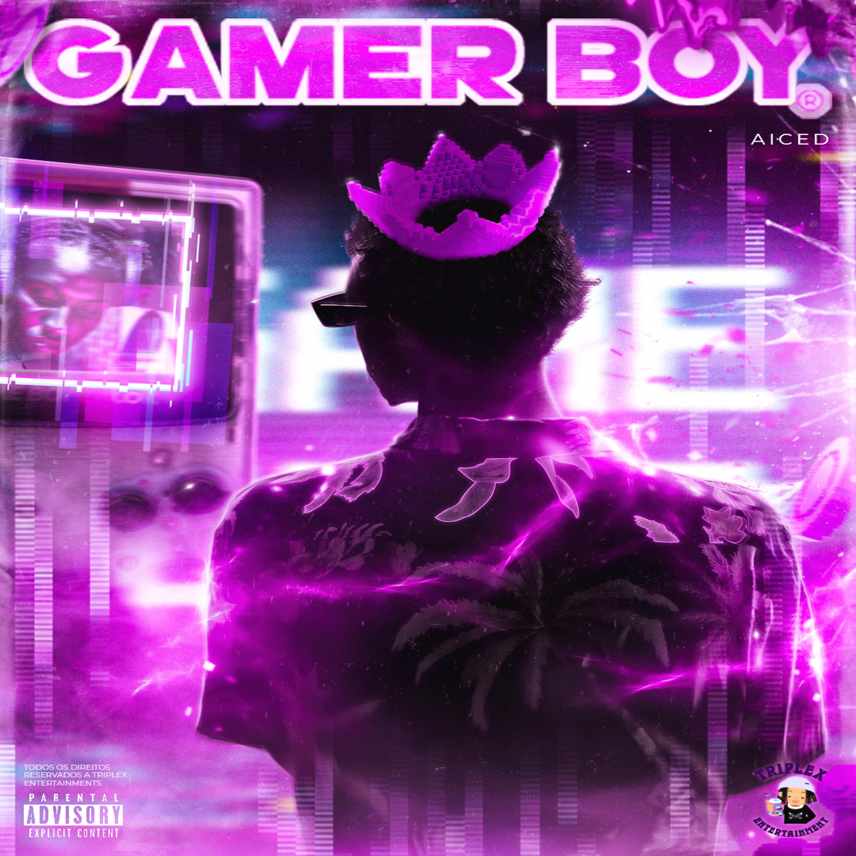 Постер альбома Gamer Boy