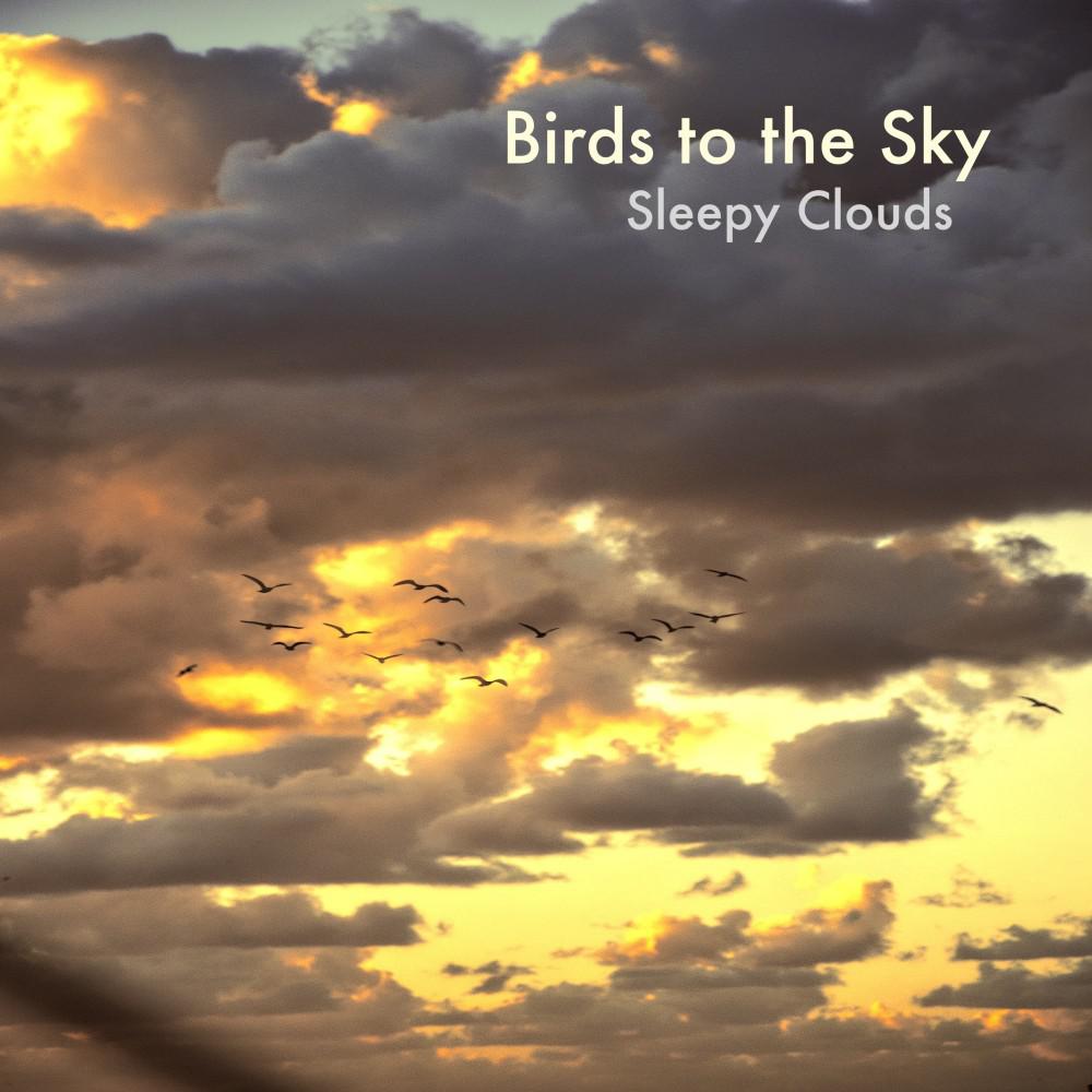Постер альбома Birds to the Sky