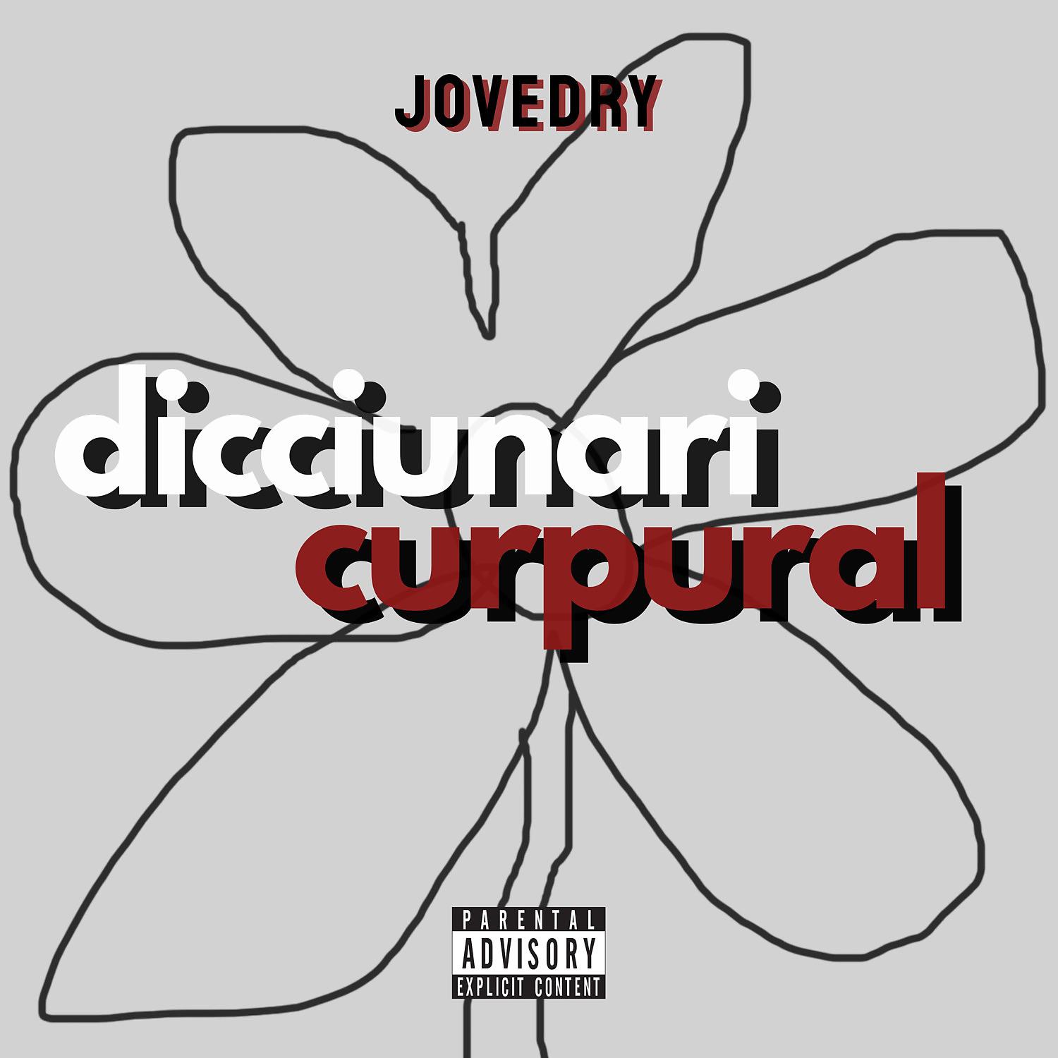 Постер альбома Dicciunari curpural