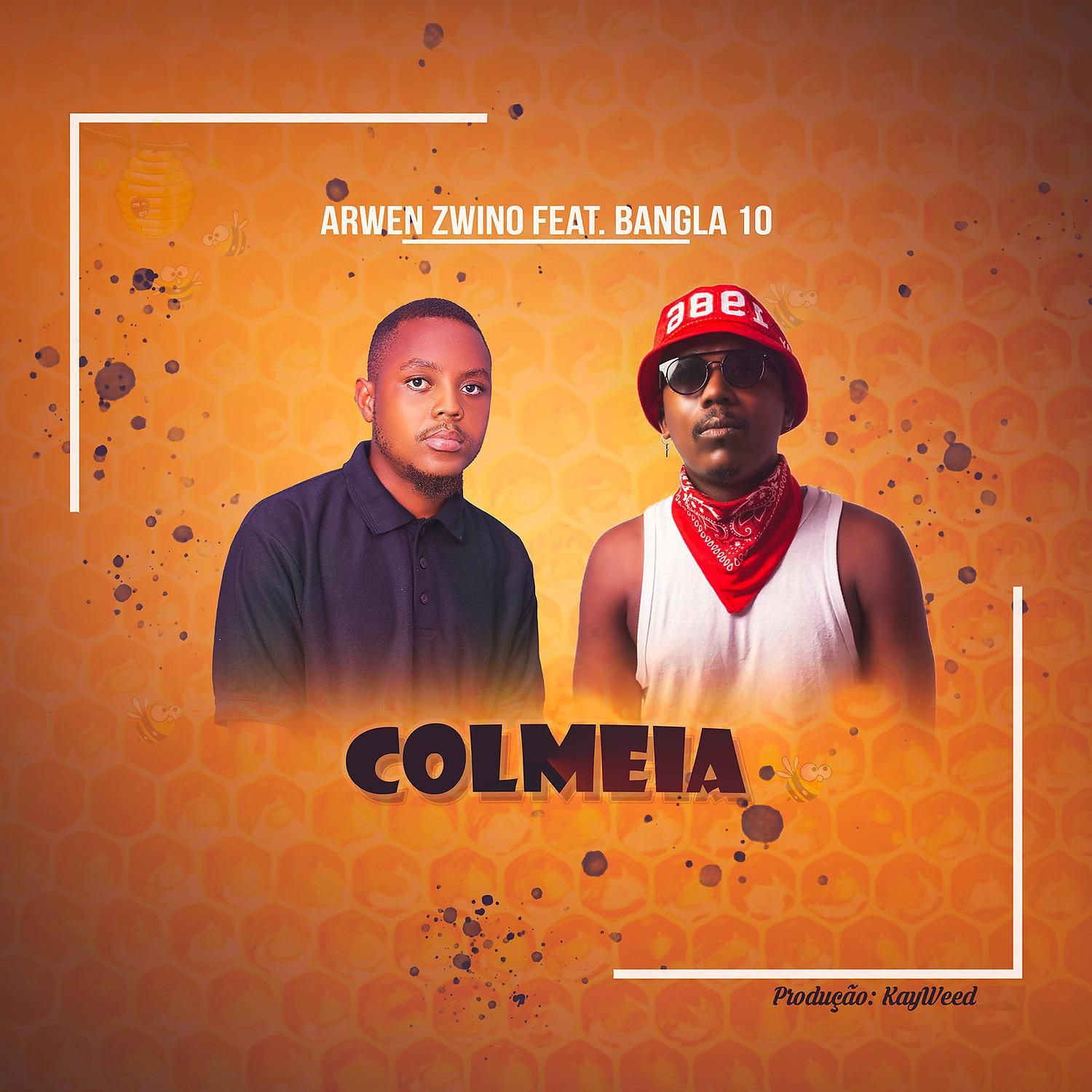 Постер альбома Colmeia