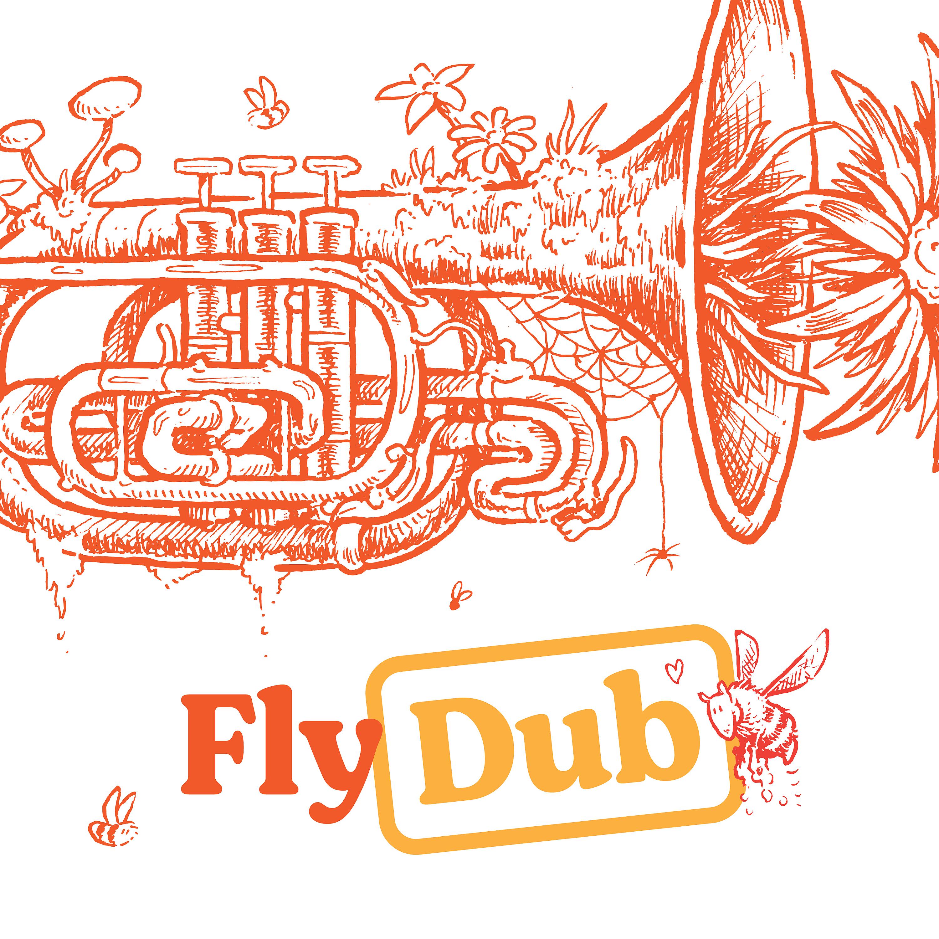 Постер альбома Fly Dub