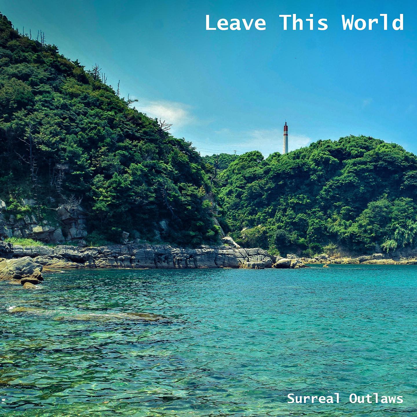 Постер альбома Leave This World