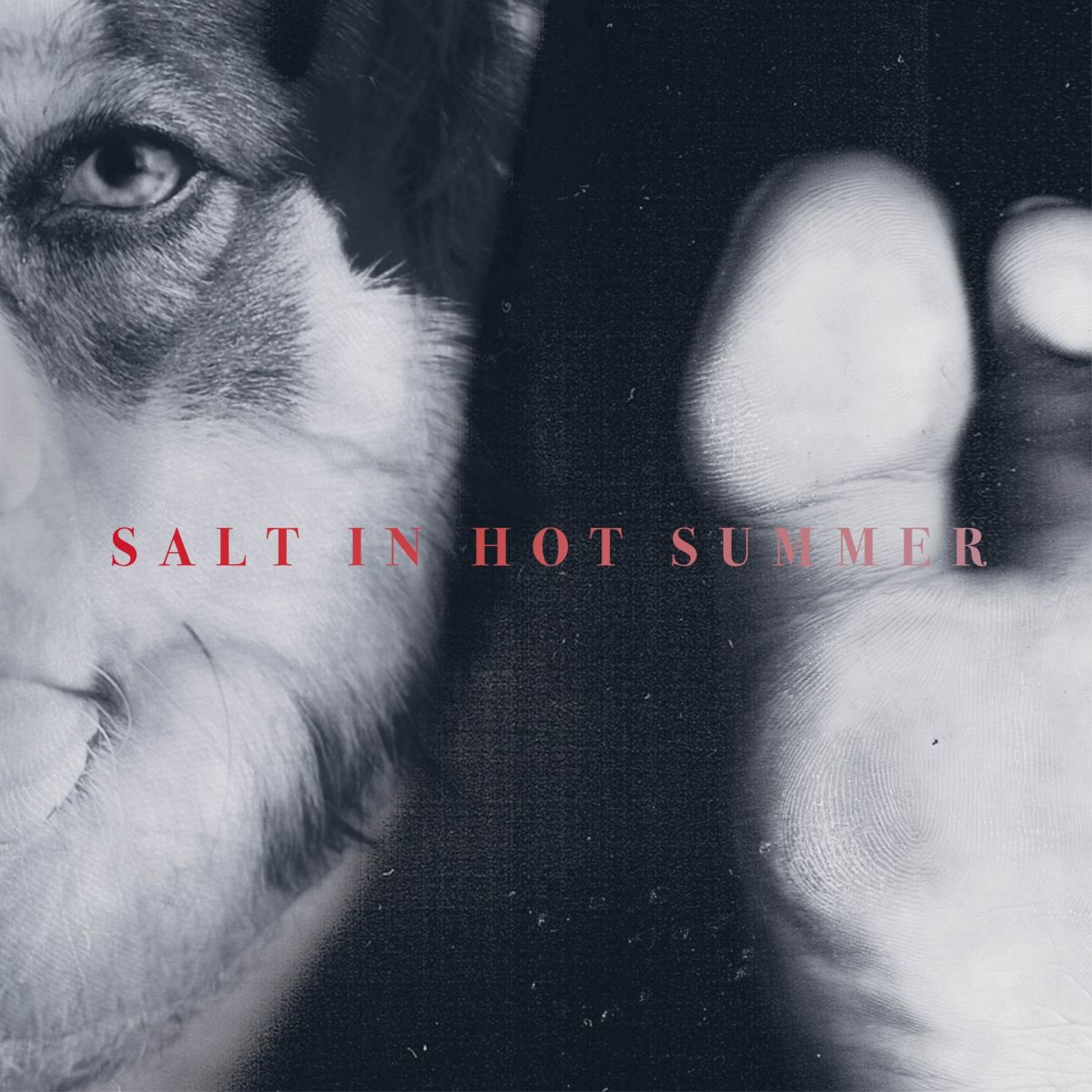 Постер альбома Salt in Hot Summer