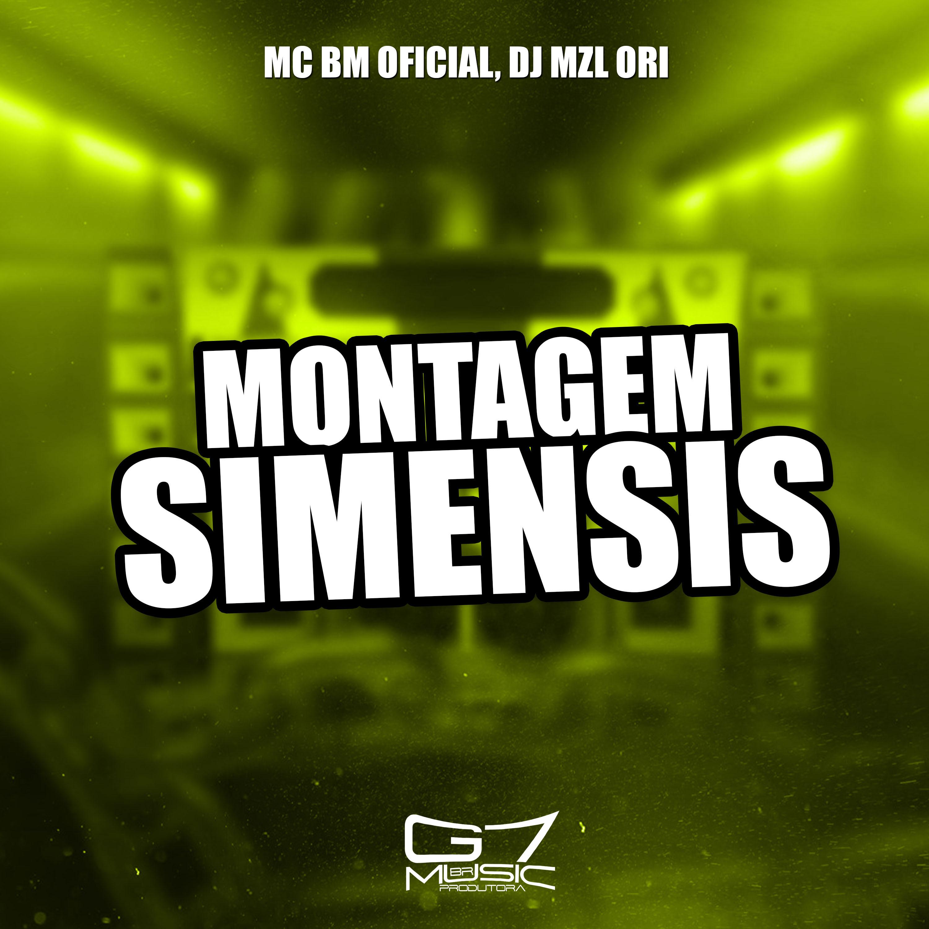 Постер альбома Montagem Simensis