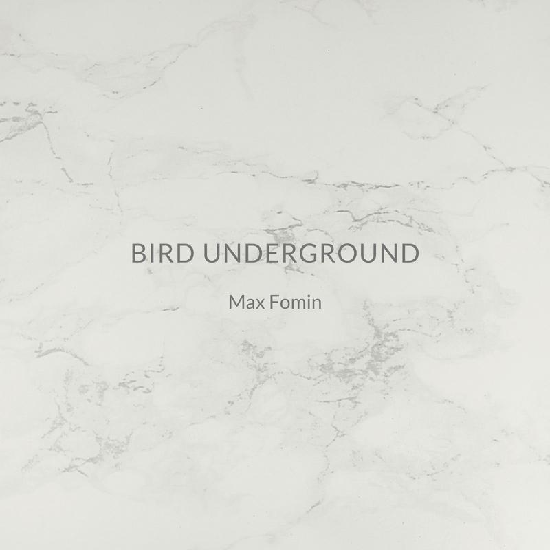 Постер альбома Bird Underground