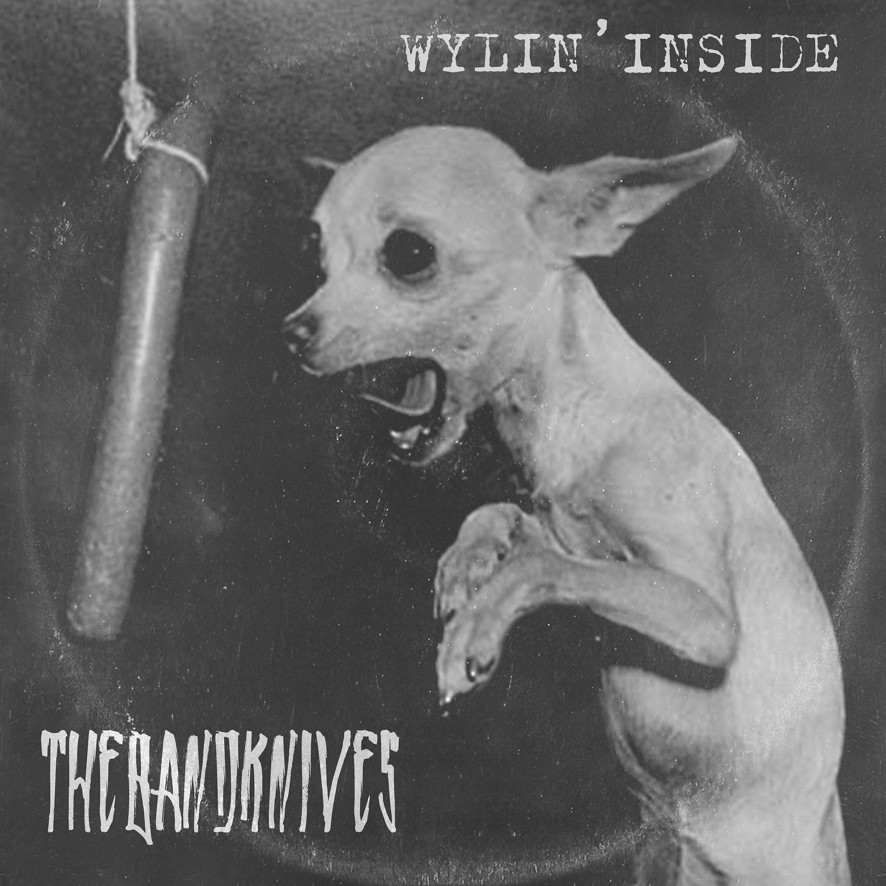 Постер альбома Wylin' Inside
