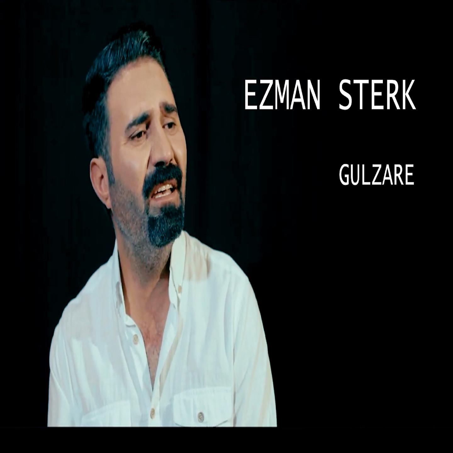 Постер альбома Gulzare