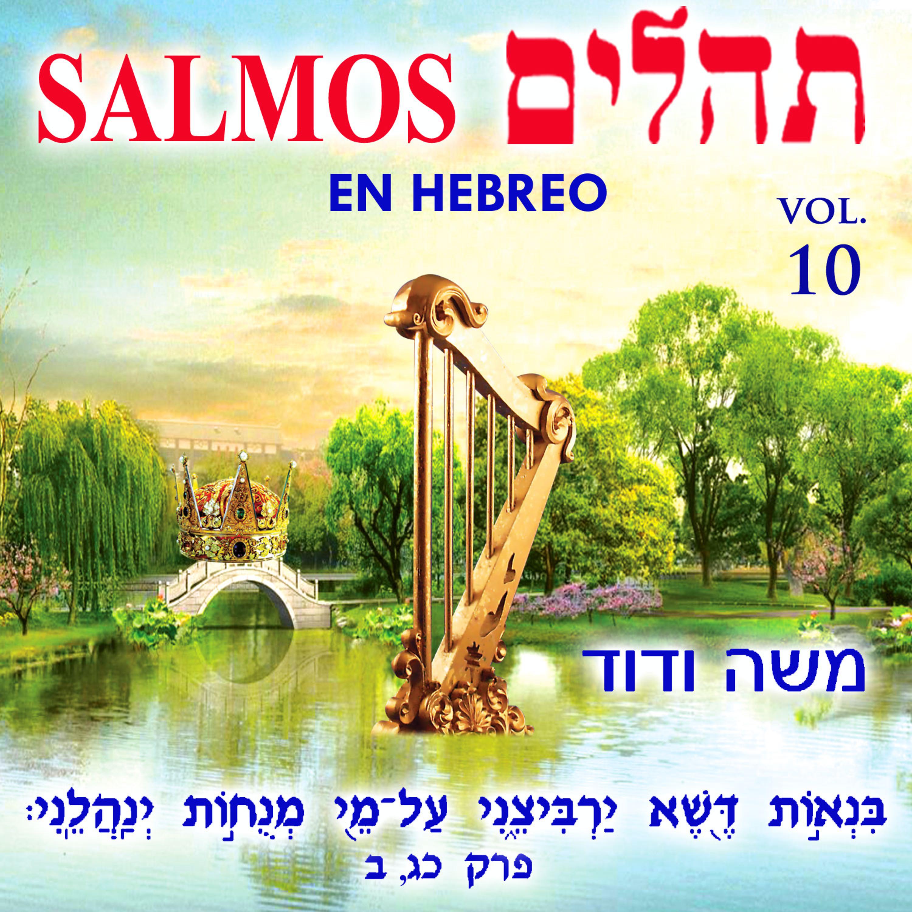Постер альбома Tehilim Salmos en Hebreo, Vol. 10