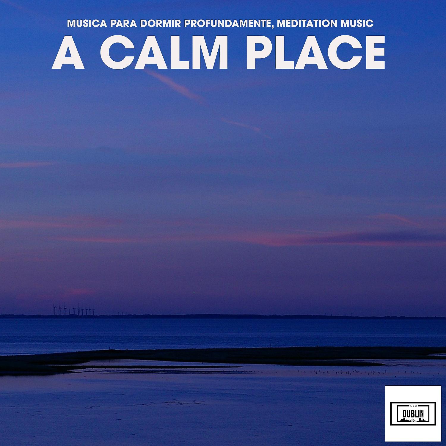 Постер альбома A Calm Place