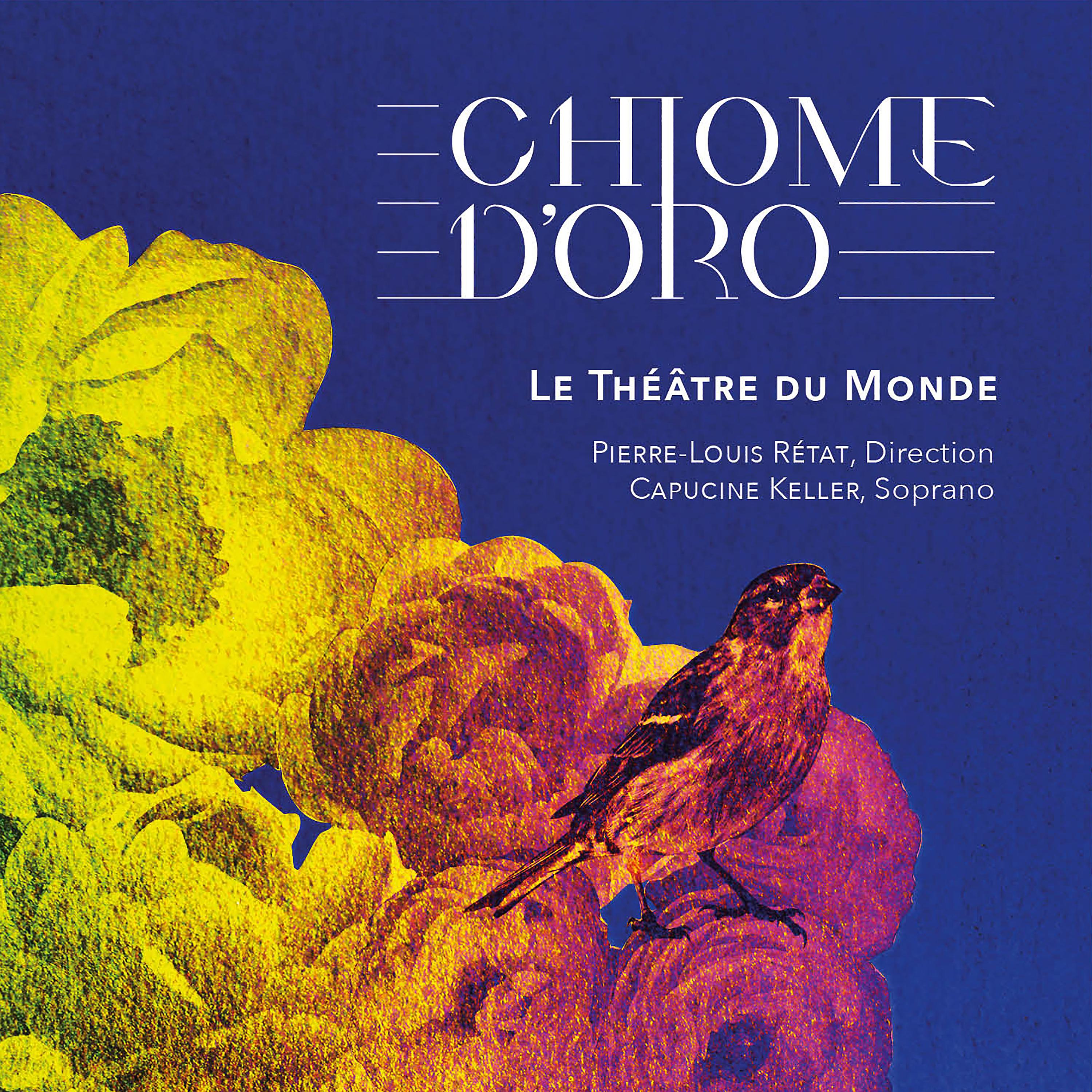 Постер альбома Le Théâtre du Monde