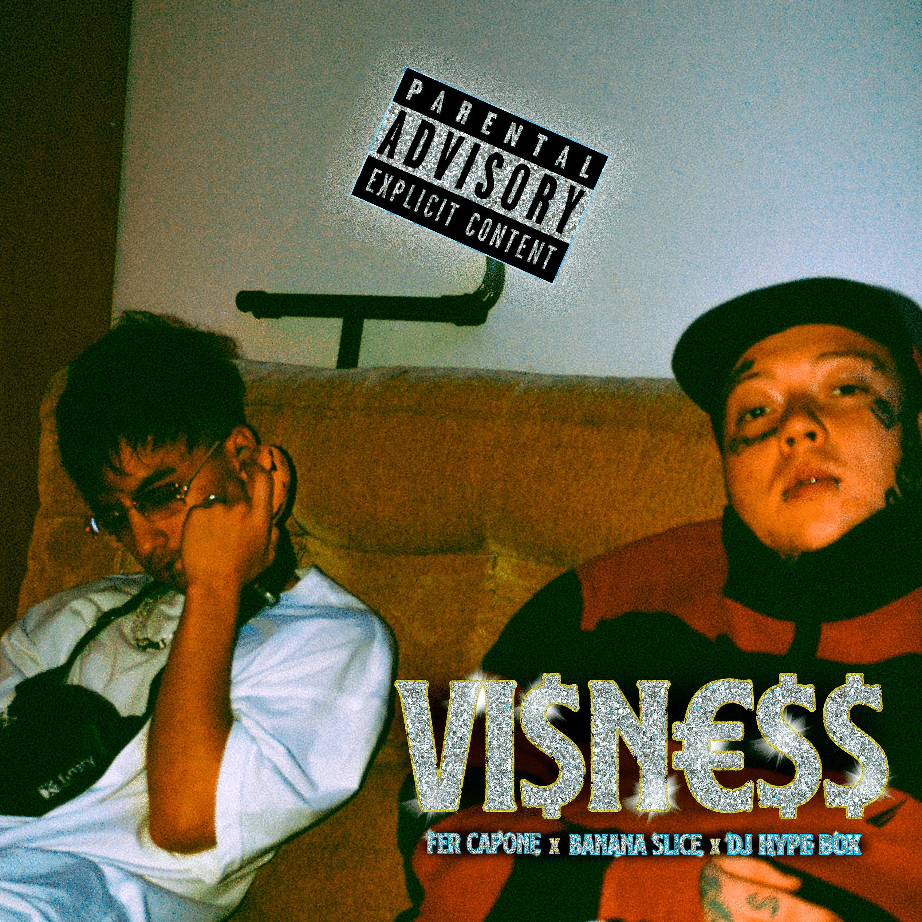Постер альбома Visness