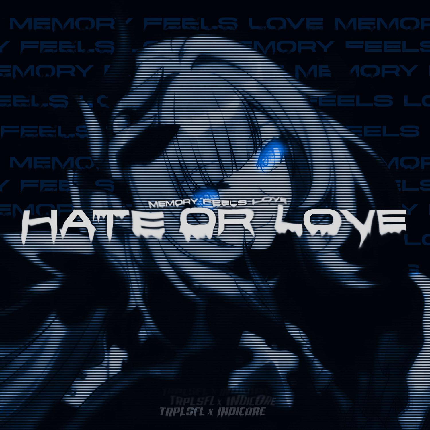 Постер альбома HATE OR LOVE