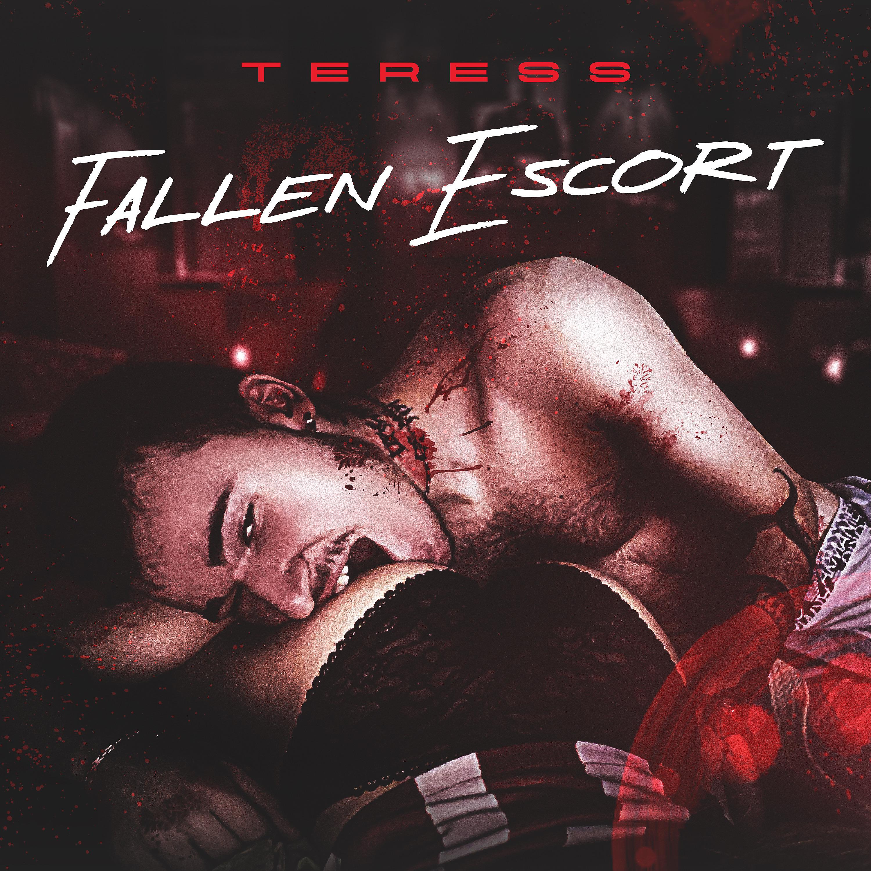 Постер альбома Fallen Escort