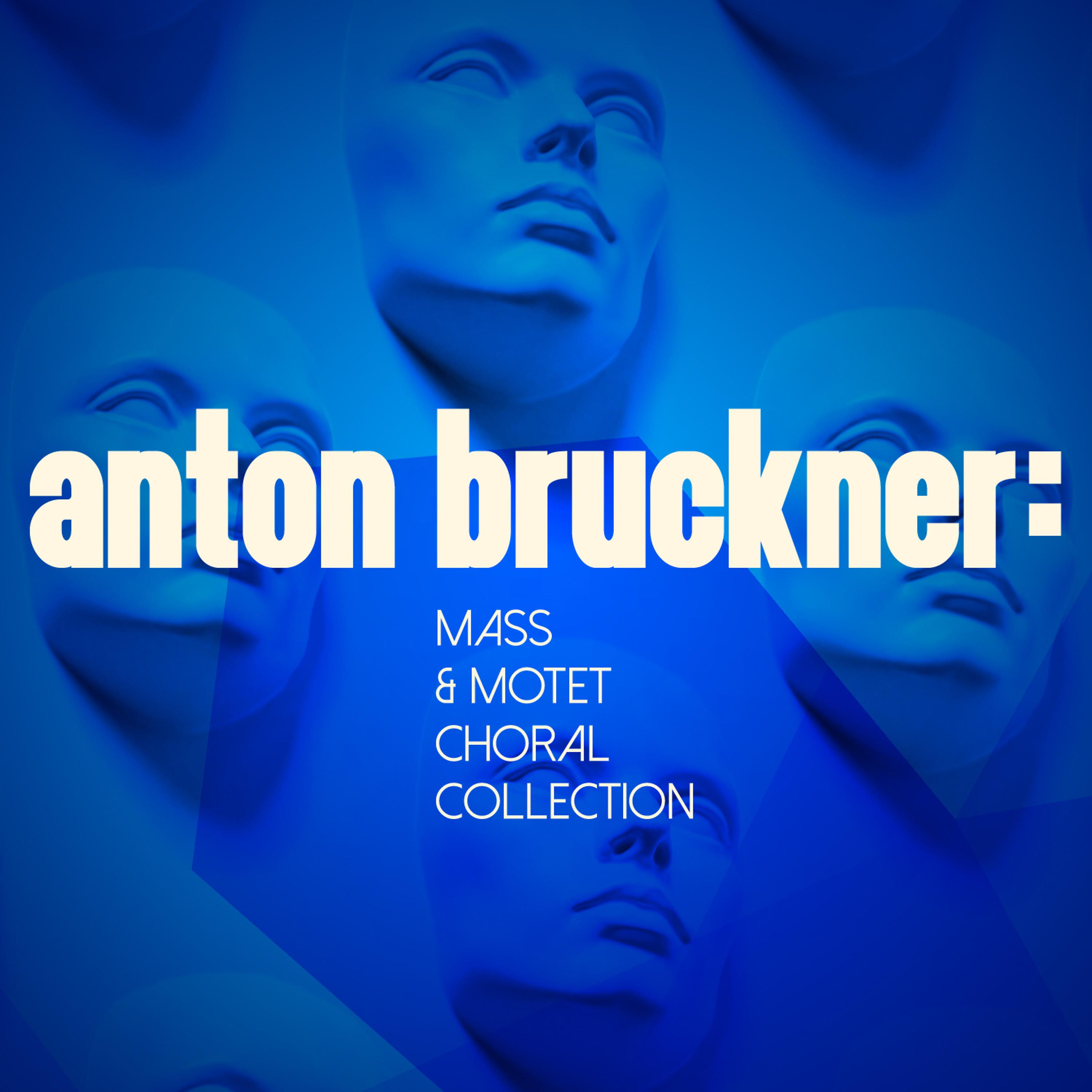 Постер альбома Anton Bruckner: Mass & Motet Choral Colection