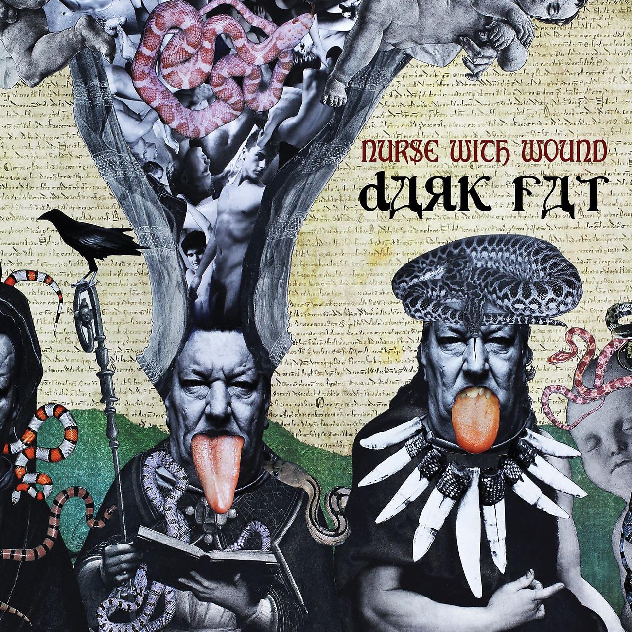 Постер альбома Dark Fat