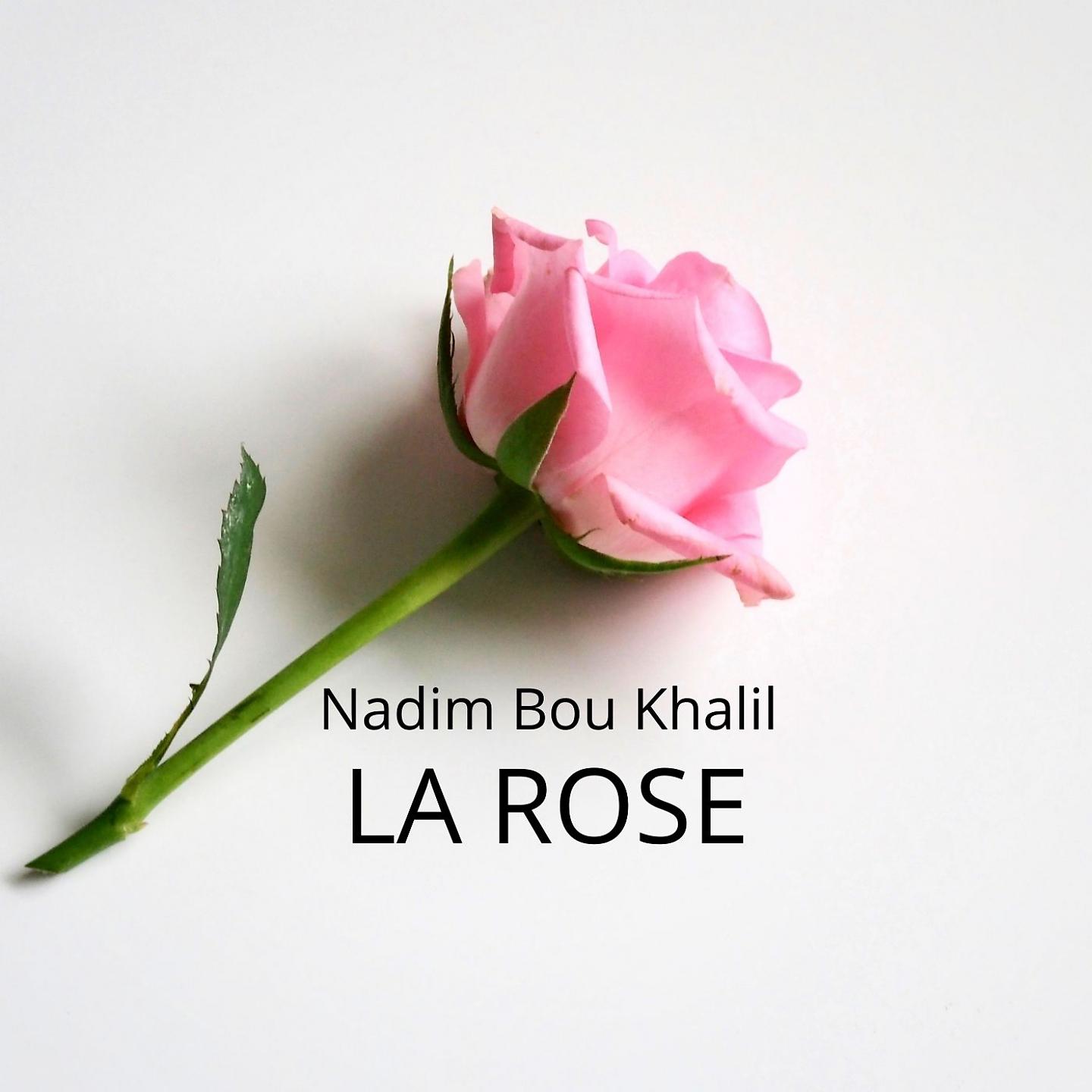 Постер альбома La Rose