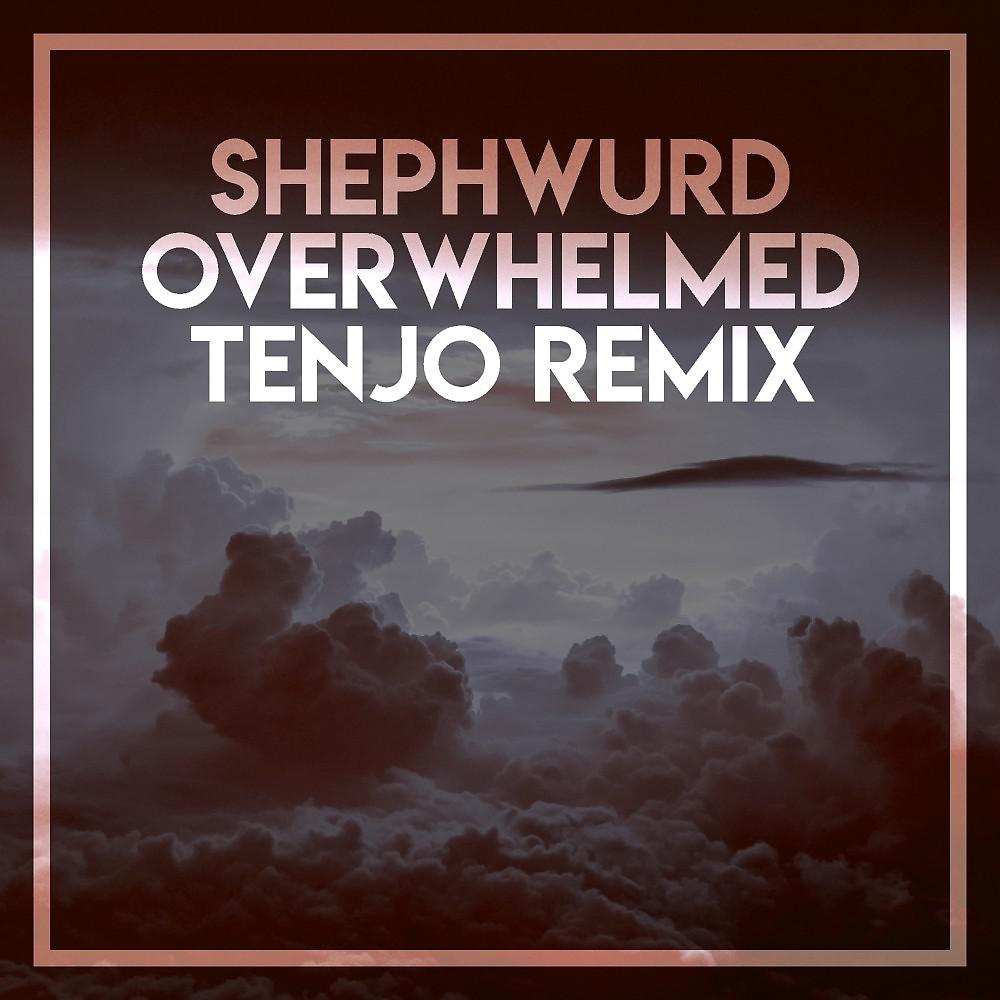 Постер альбома Overwhelmed (Tenjo Remix)