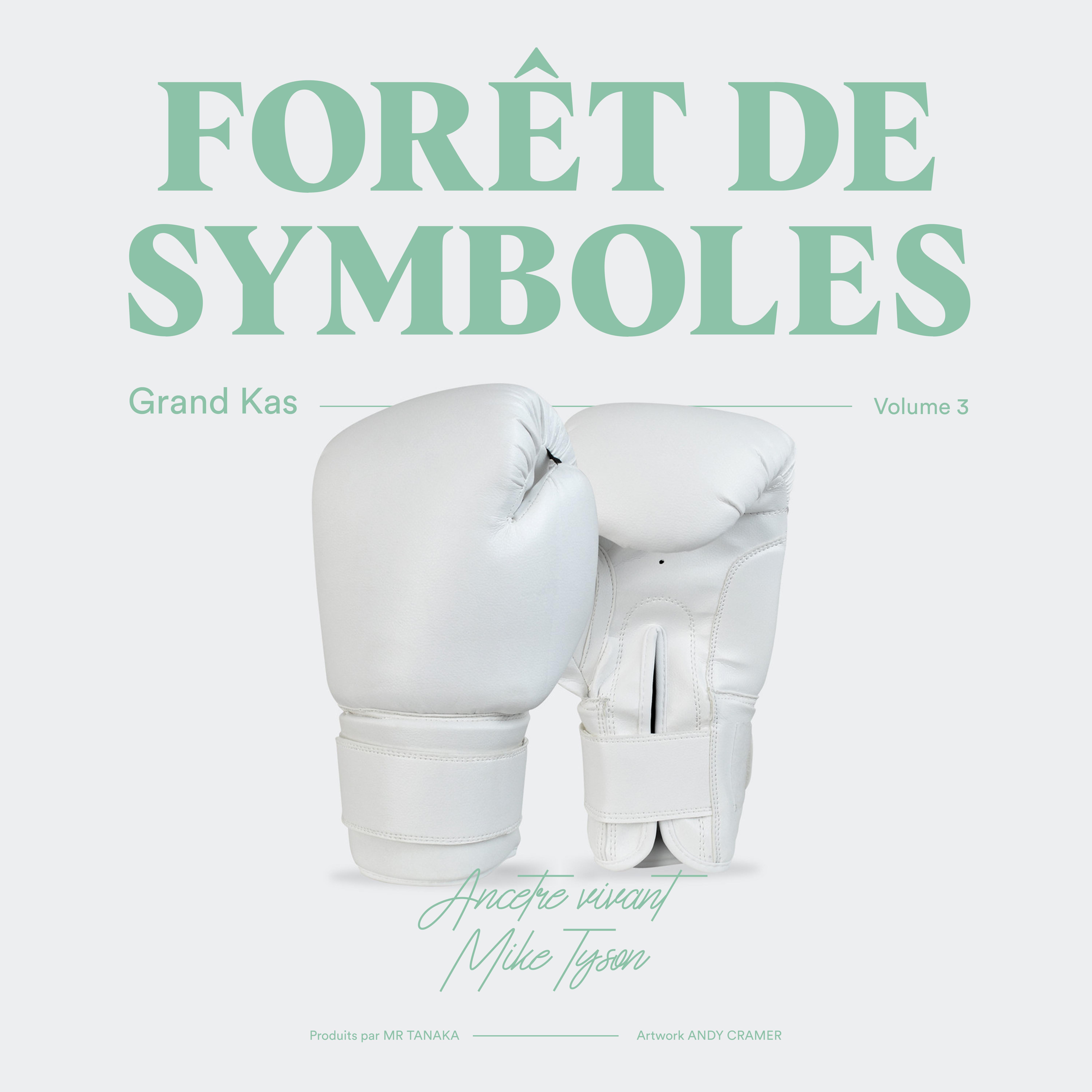 Постер альбома Forêt des symboles, vol. 3