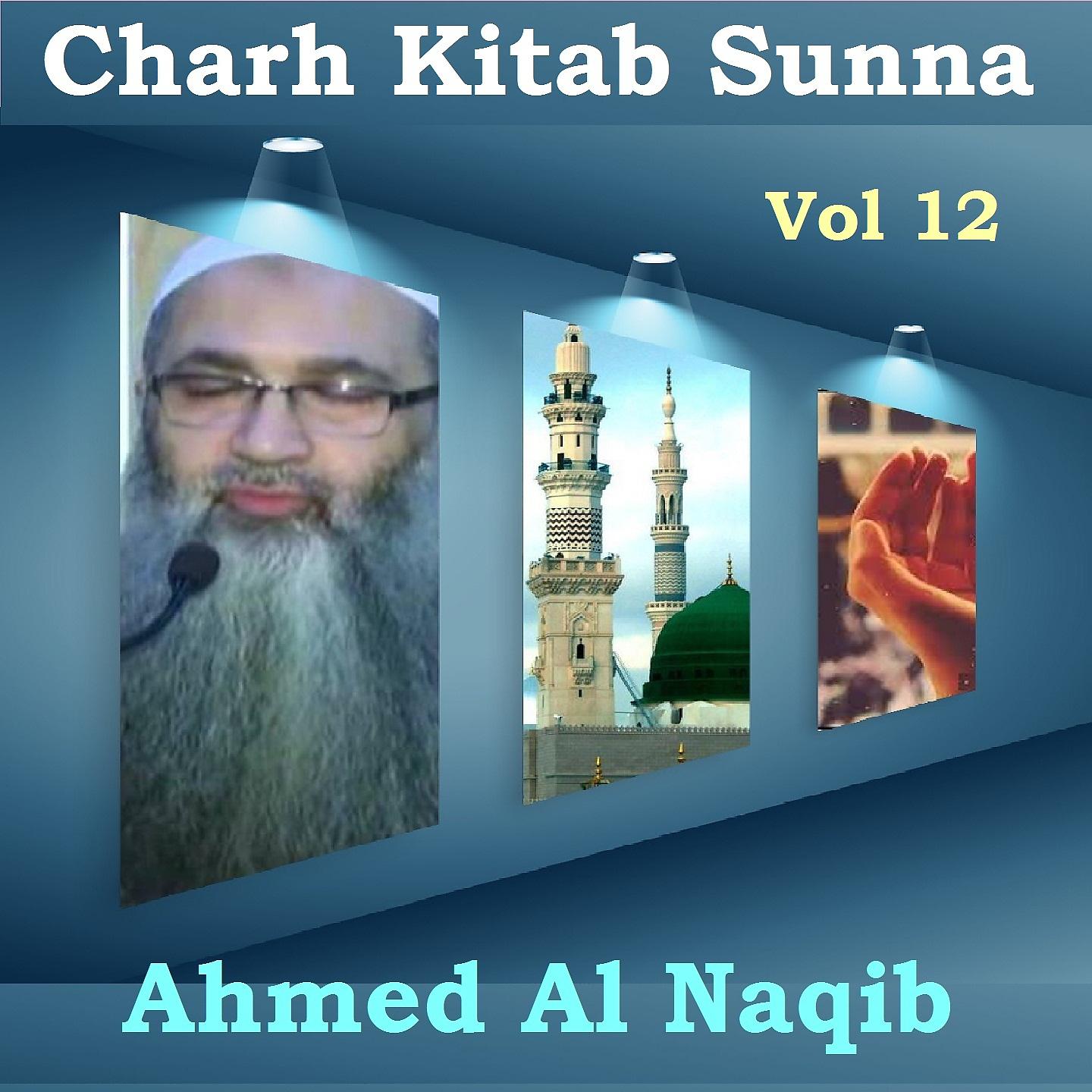 Постер альбома Charh Kitab Sunna Vol 12
