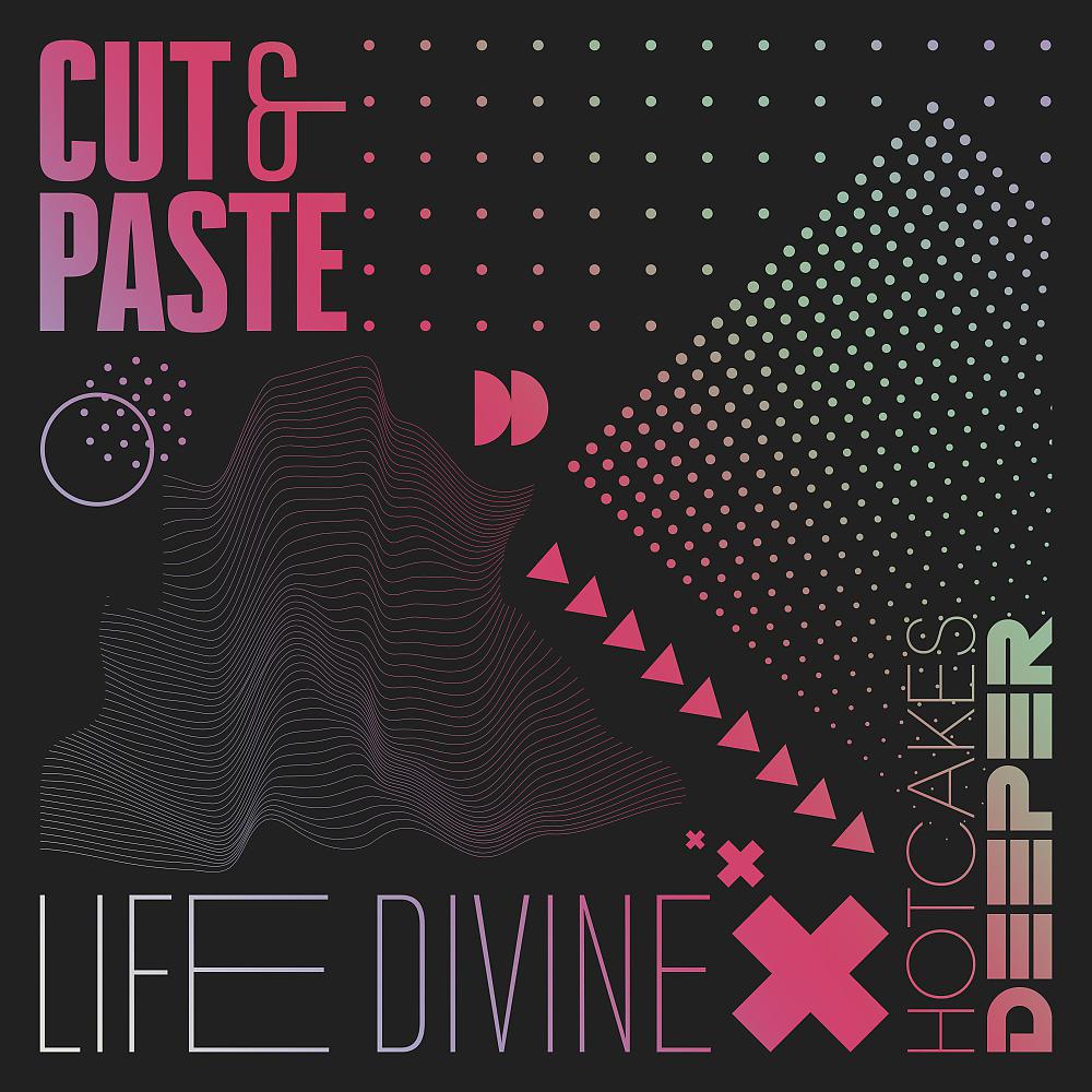 Постер альбома Life Divine