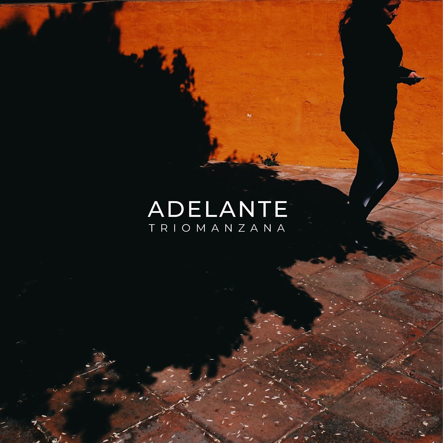 Постер альбома Adelante