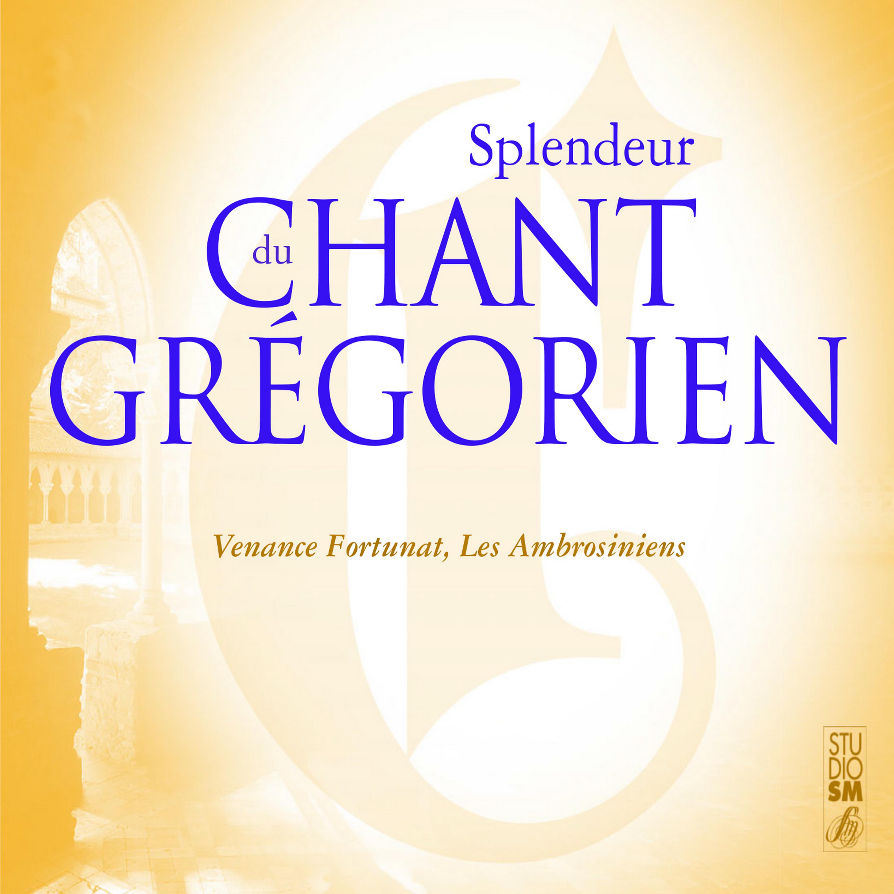 Постер альбома Splendeur du chant grégorien