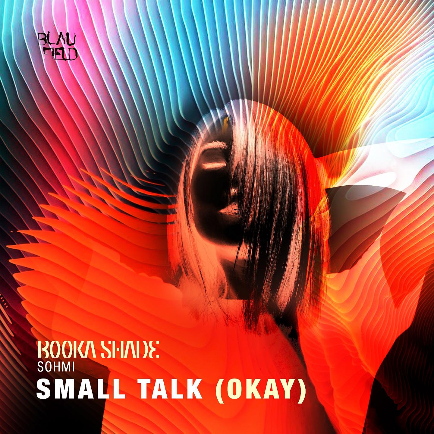 Постер альбома Small Talk (Okay)