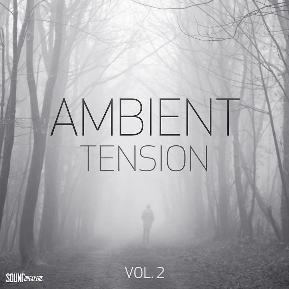 Постер альбома Ambient Tension, Vol. 2