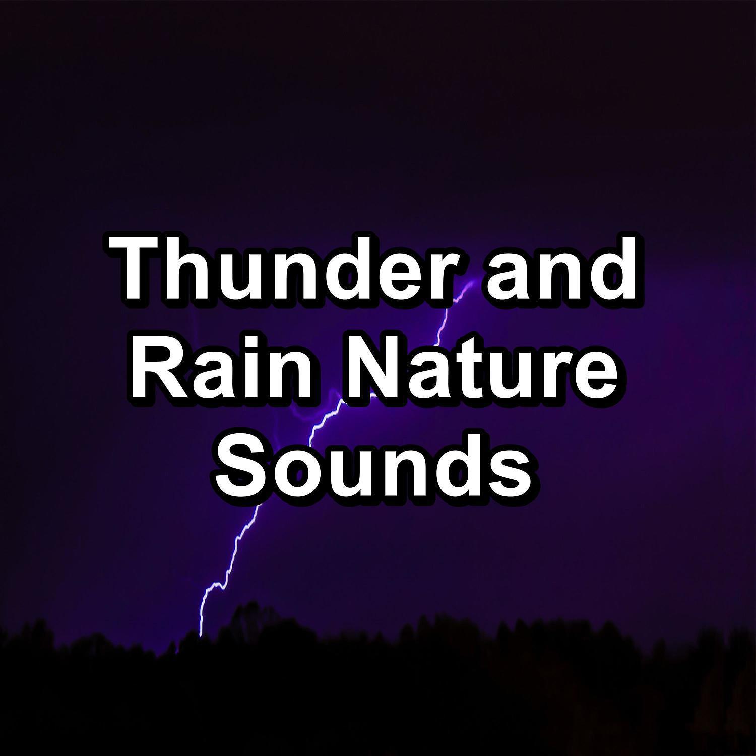 Постер альбома Rain and Thunderstorm Nature Sounds